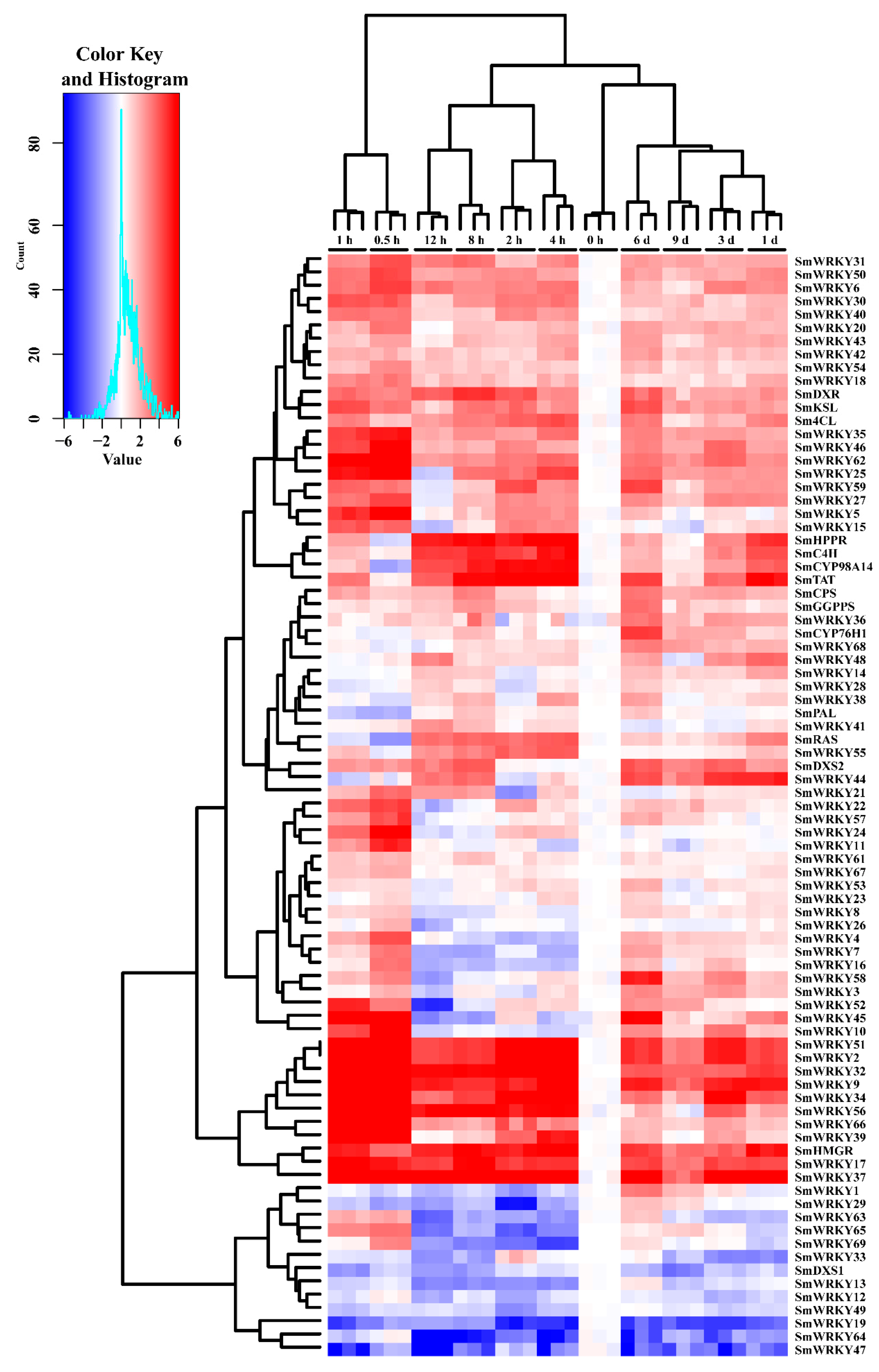 Ijms 19 01593 g003 550
