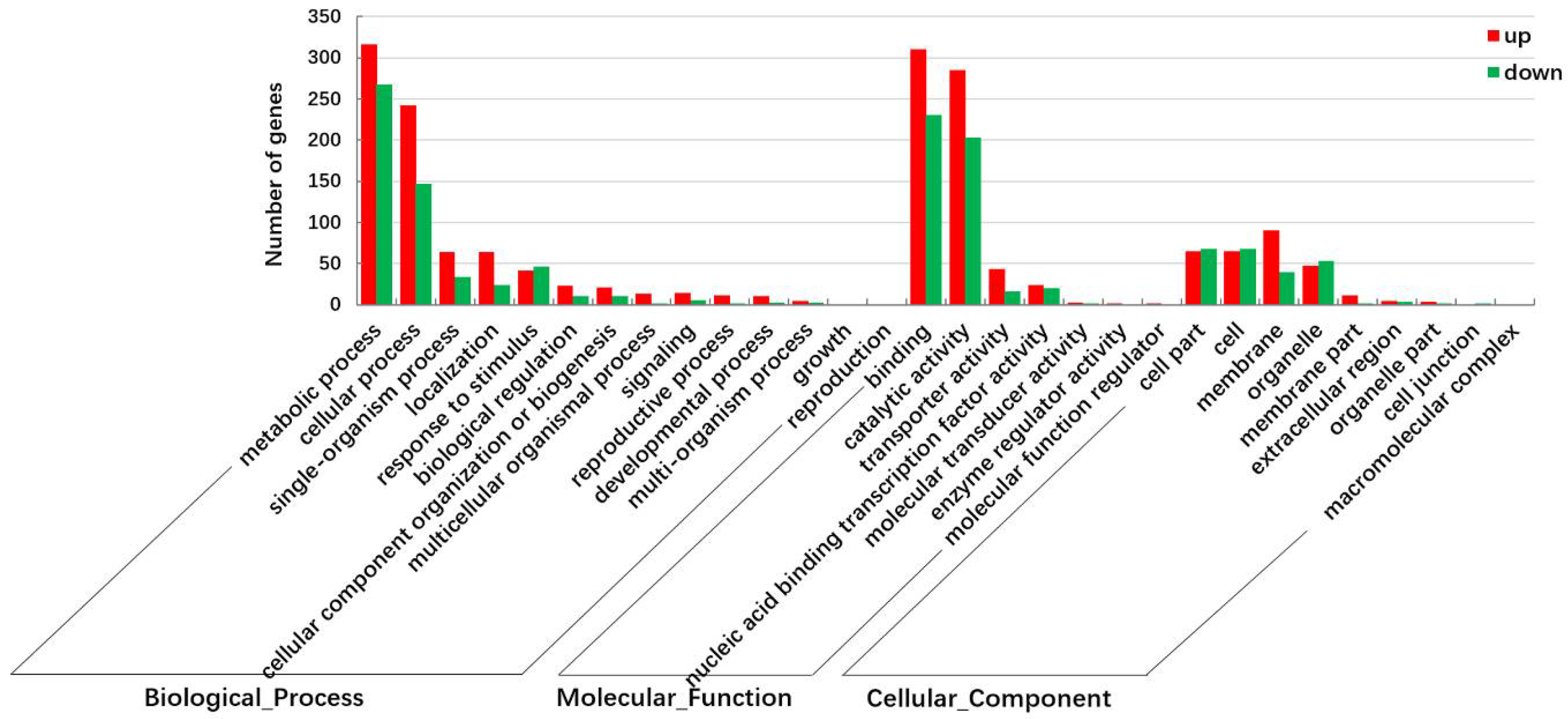 Ijms 19 01594 g003 Ijms 19 01594 g003