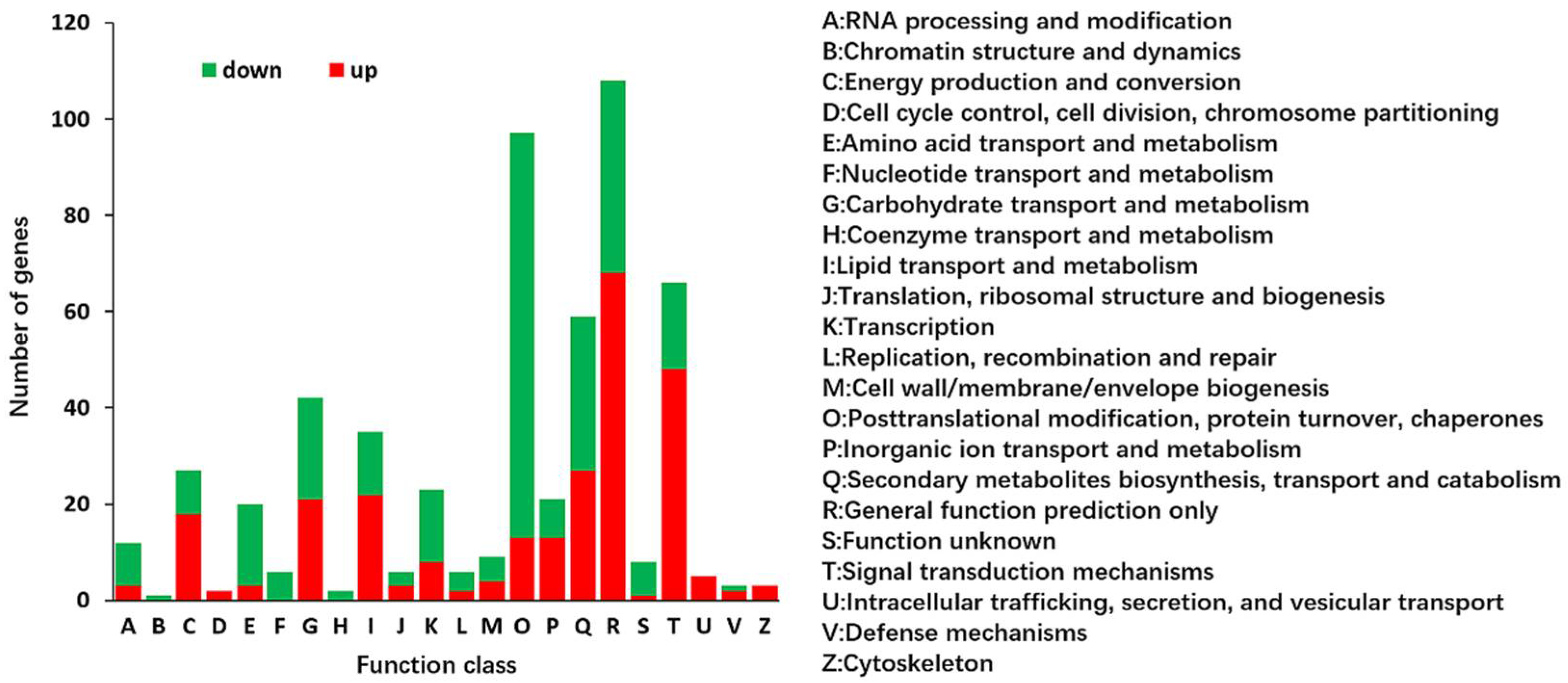 Ijms 19 01594 g004 Ijms 19 01594 g004