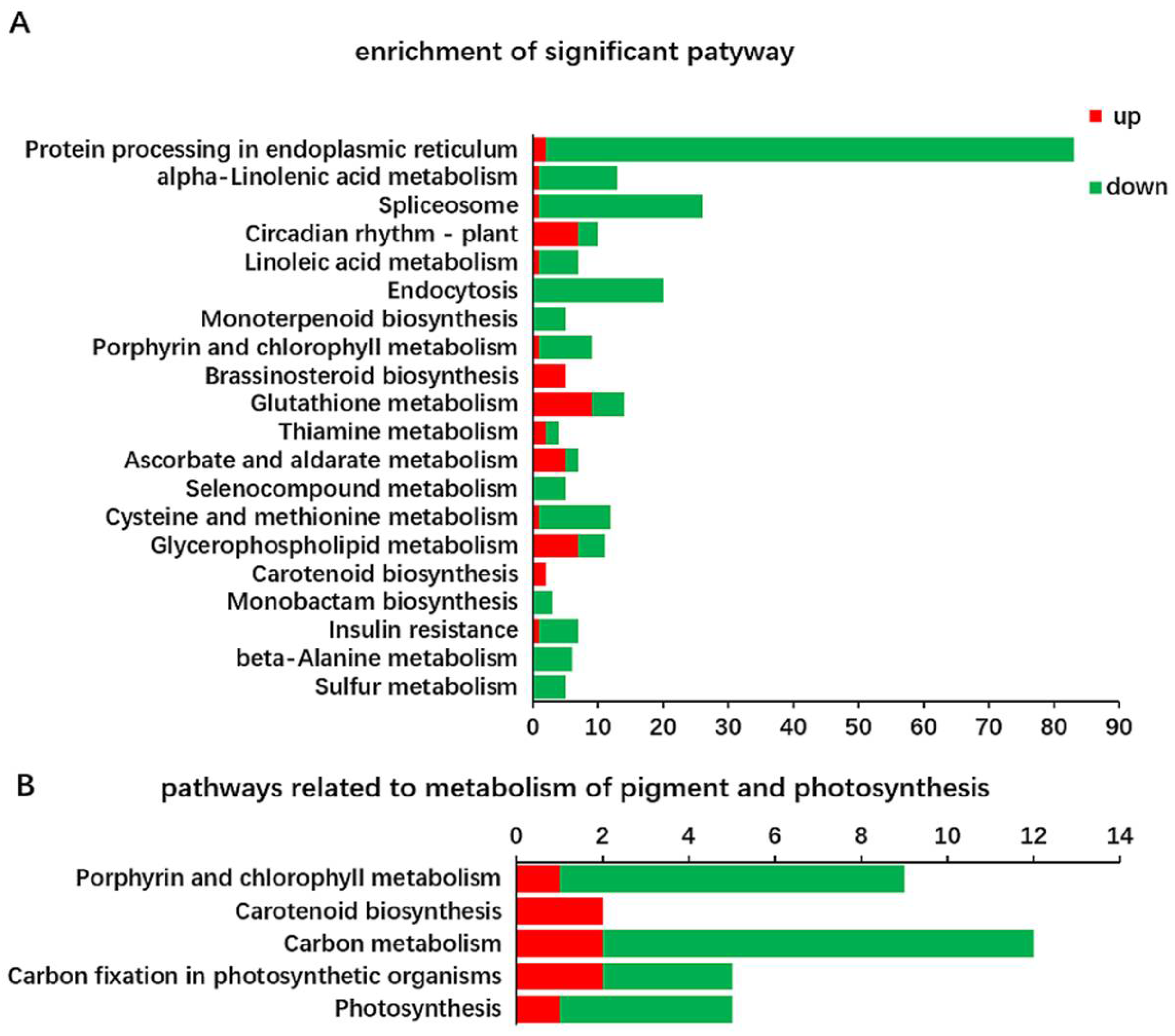 Ijms 19 01594 g005 Ijms 19 01594 g005