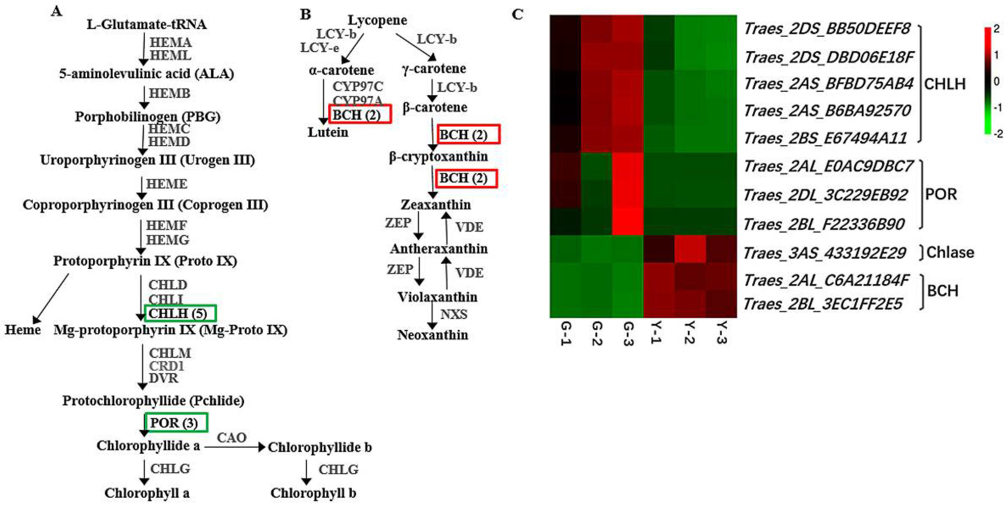 Ijms 19 01594 g006 Ijms 19 01594 g006