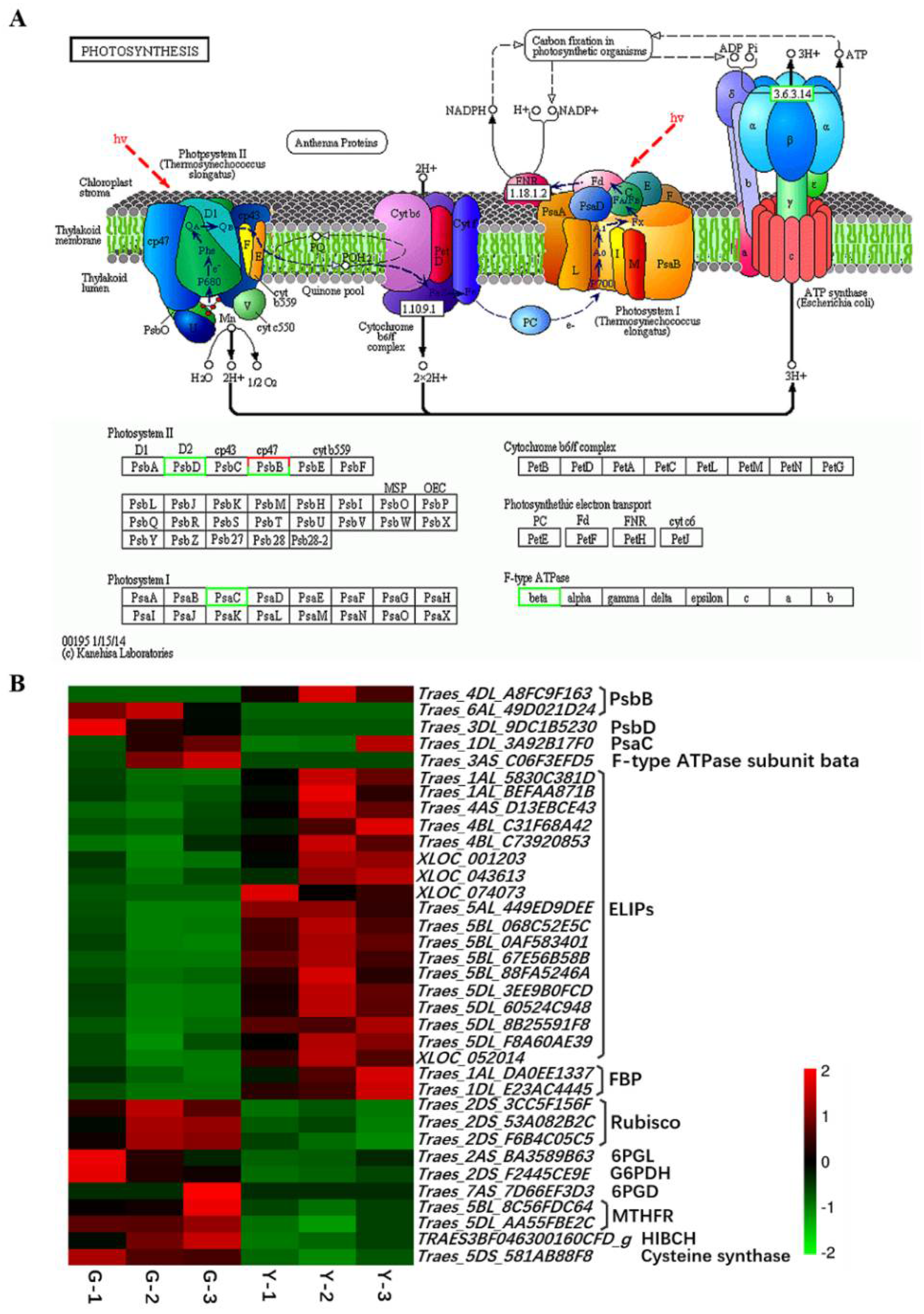Ijms 19 01594 g007 Ijms 19 01594 g007