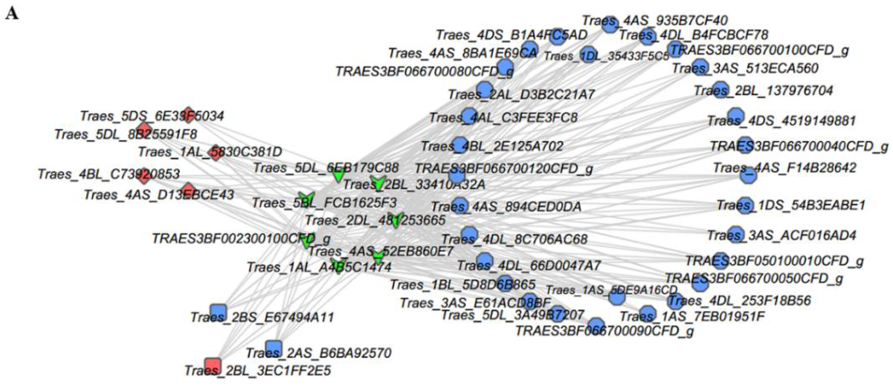 Ijms 19 01594 g009a Ijms 19 01594 g009a