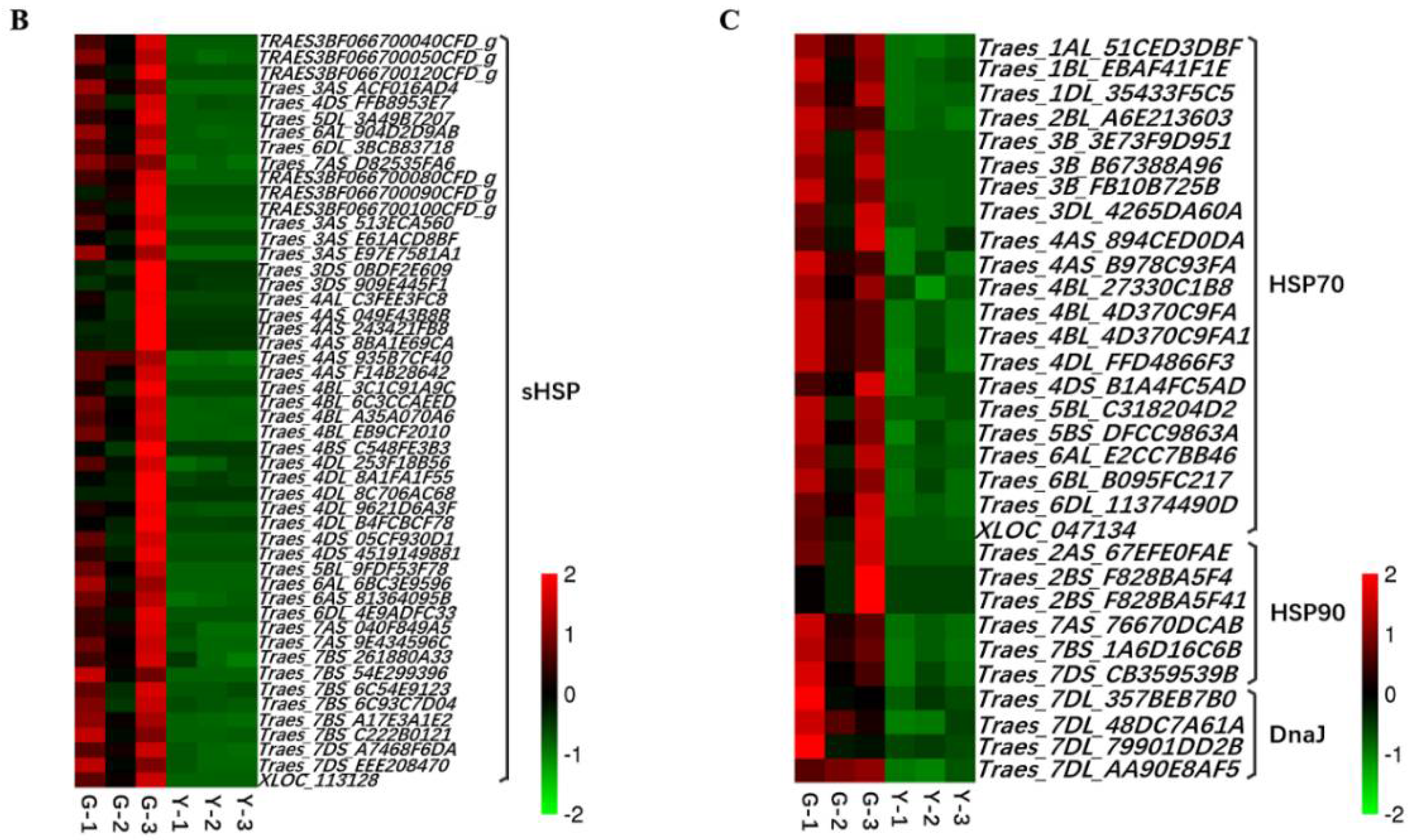 Ijms 19 01594 g009b Ijms 19 01594 g009b