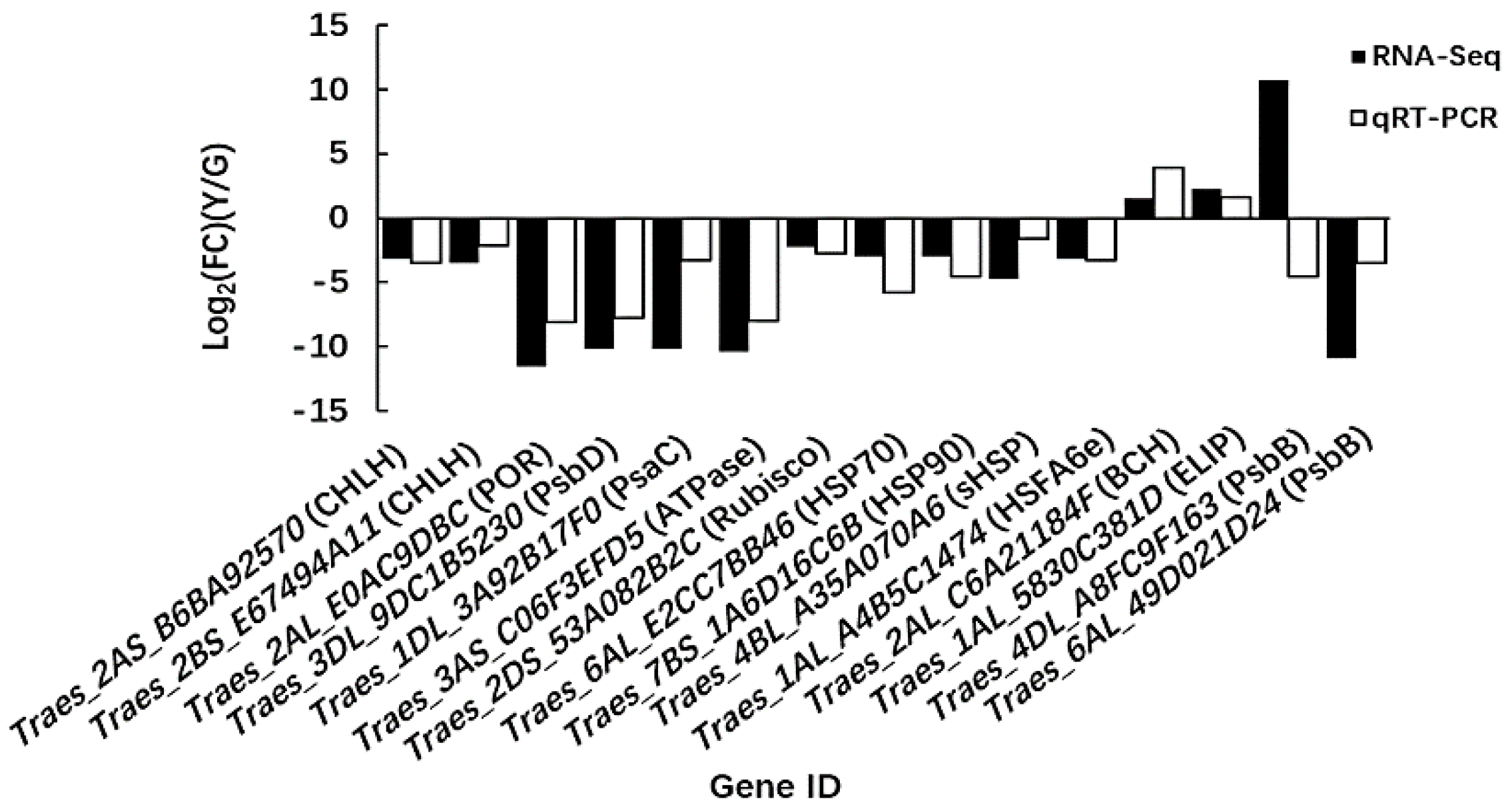 Ijms 19 01594 g010 Ijms 19 01594 g010