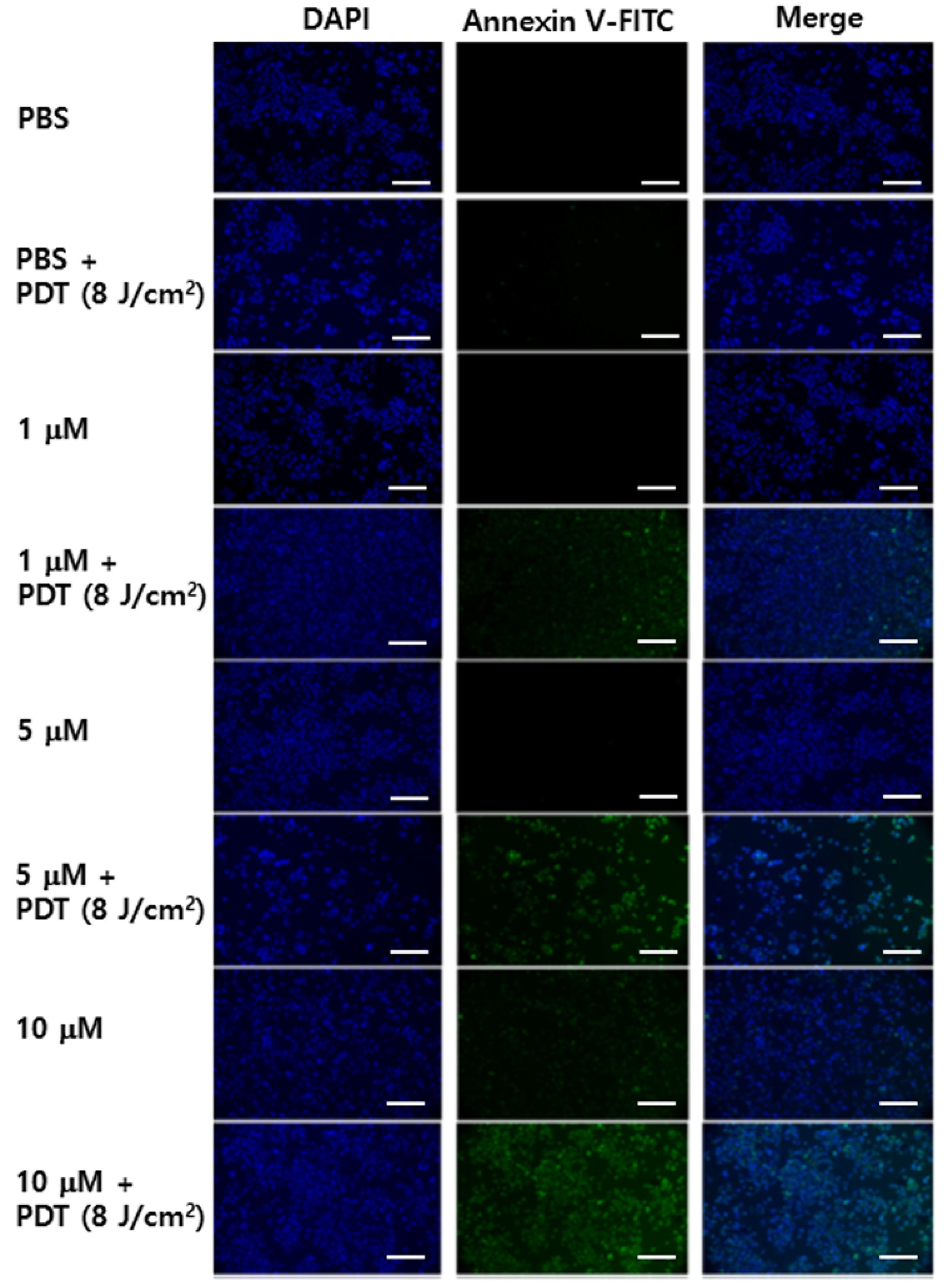 Ijms 19 01596 g004