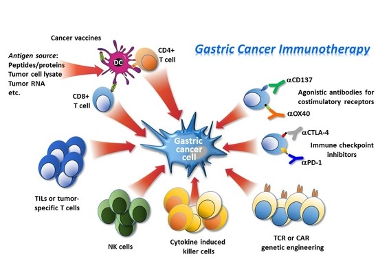 gastric cancer immunotherapy)