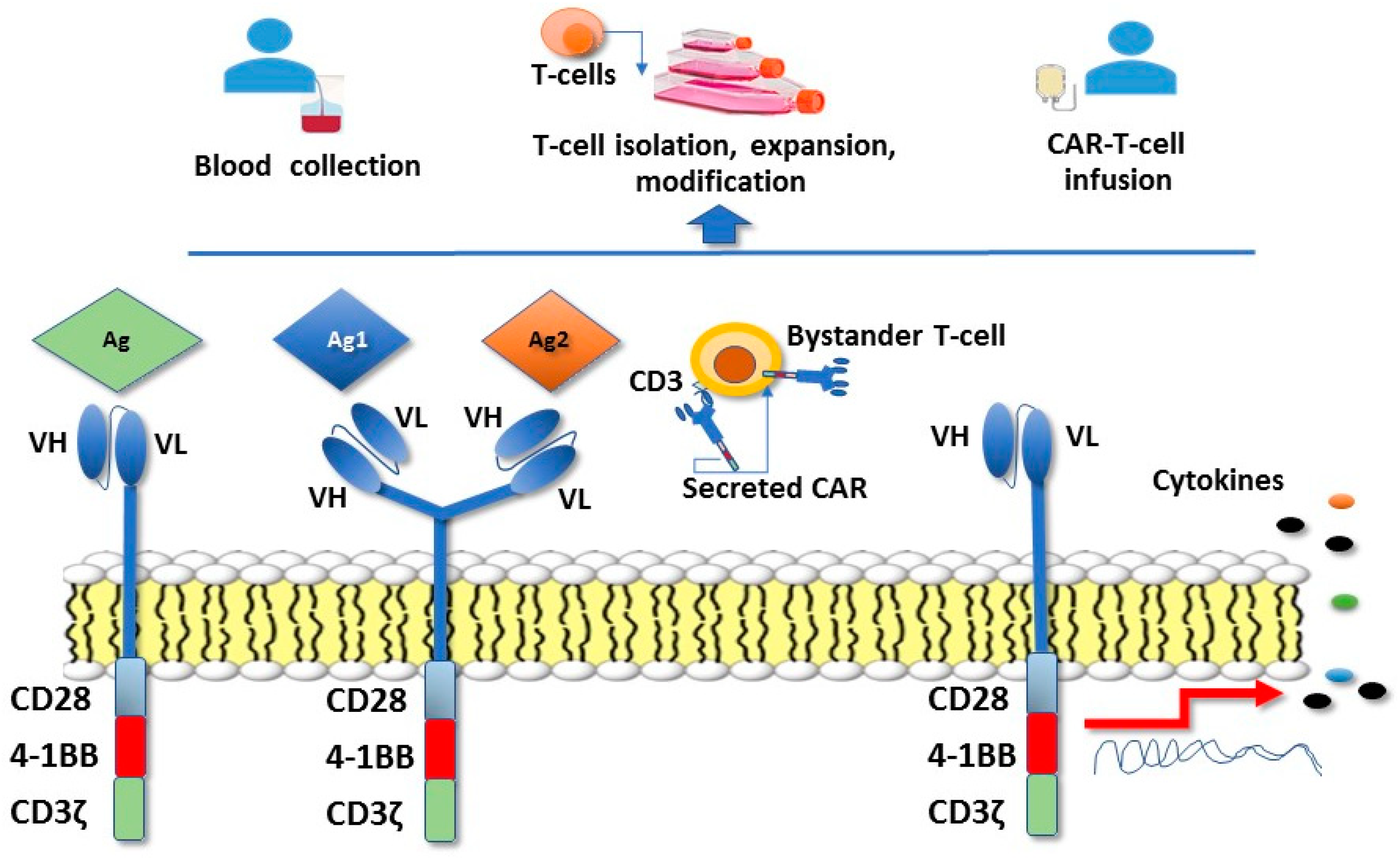 Ijms 19 01602 g001 Ijms 19 01602 g001