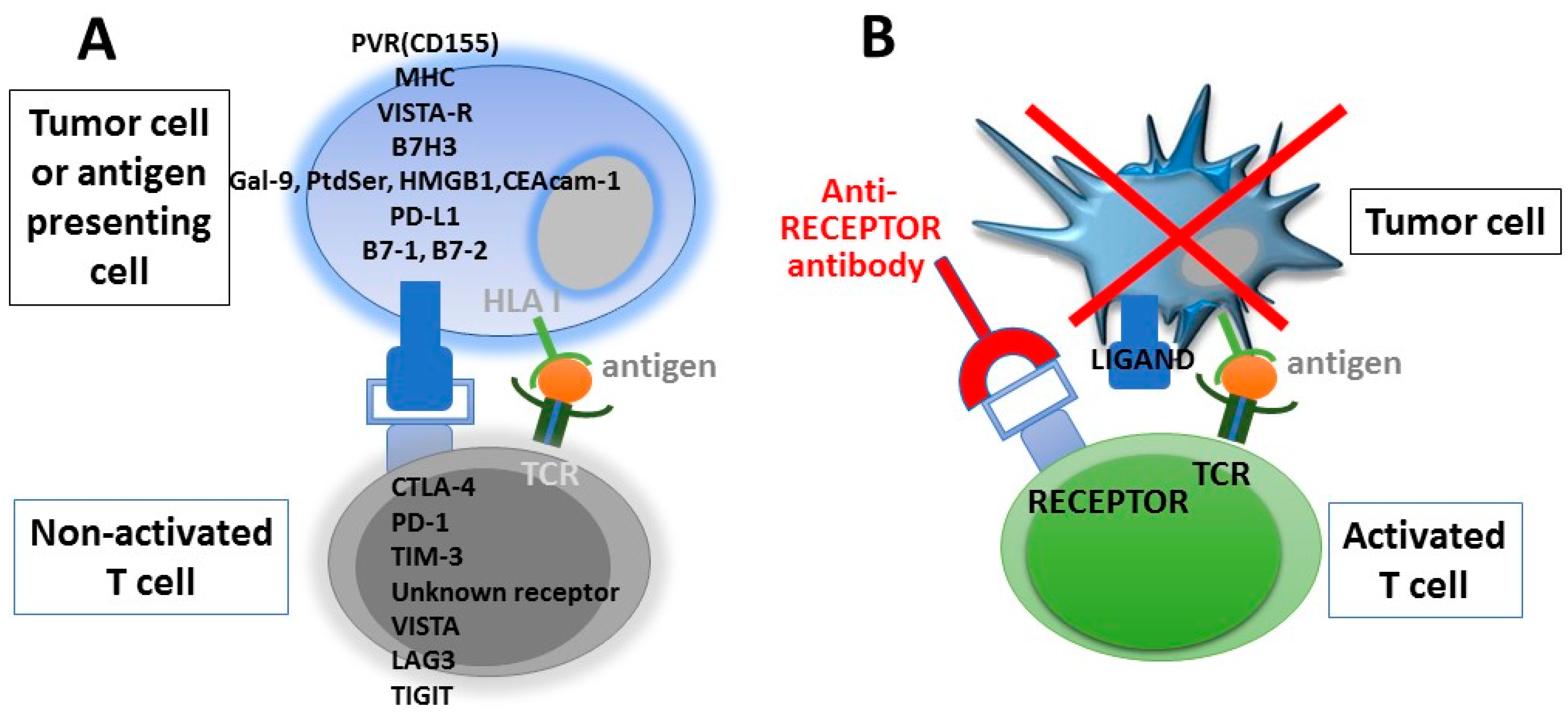 Ijms 19 01602 g002 Ijms 19 01602 g002
