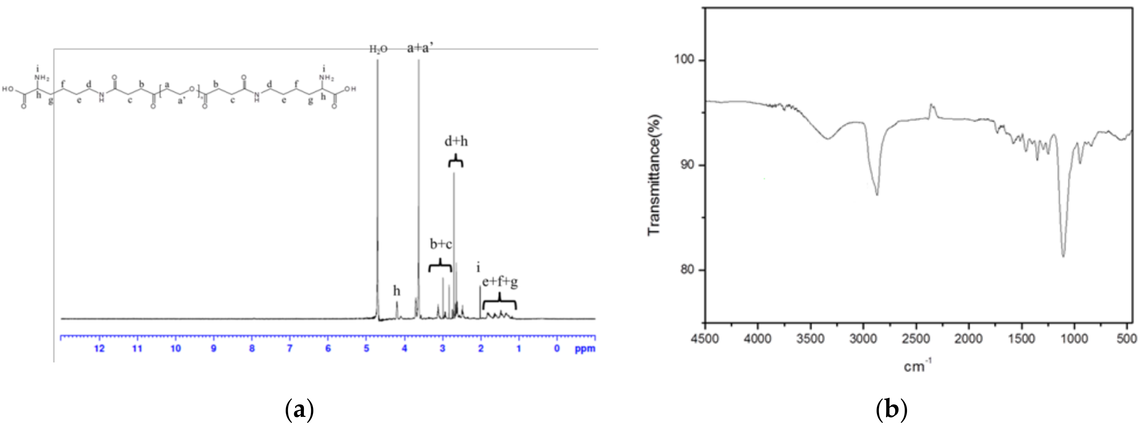 Ijms 19 01615 g002 550