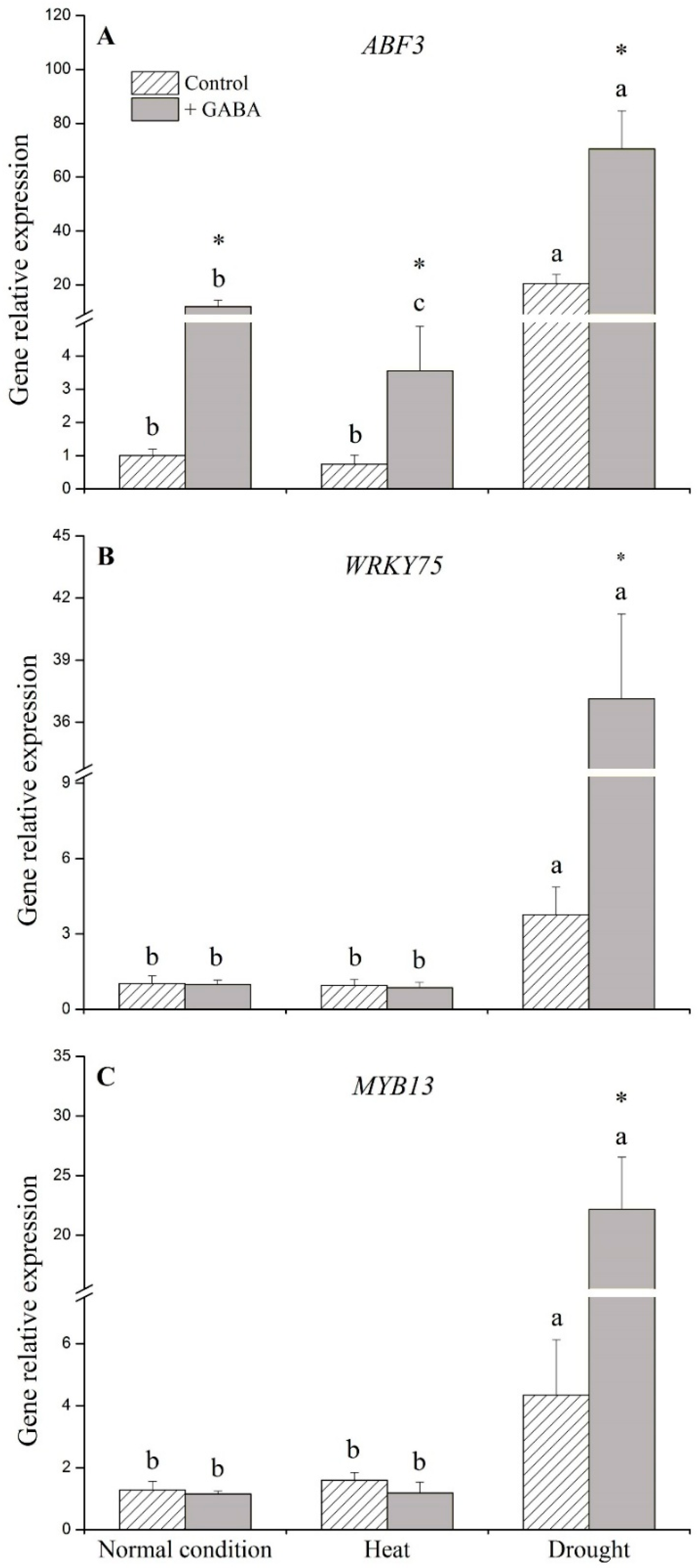 Ijms 19 01623 g005 Ijms 19 01623 g005