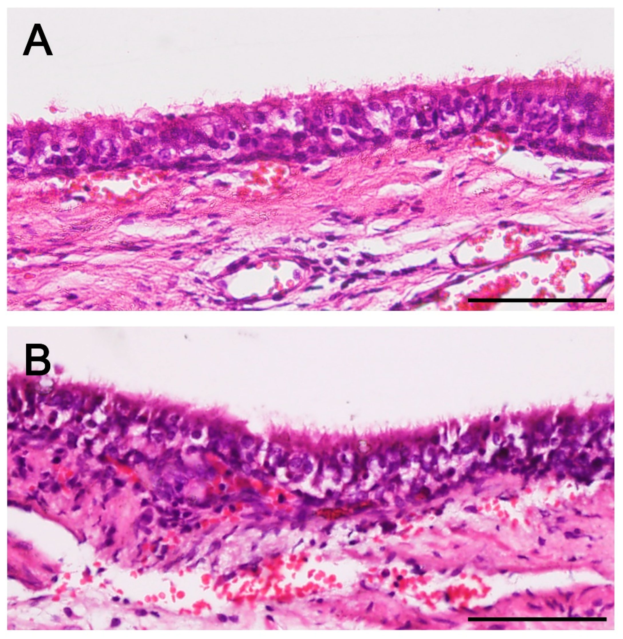 Ijms 19 01624 g006a