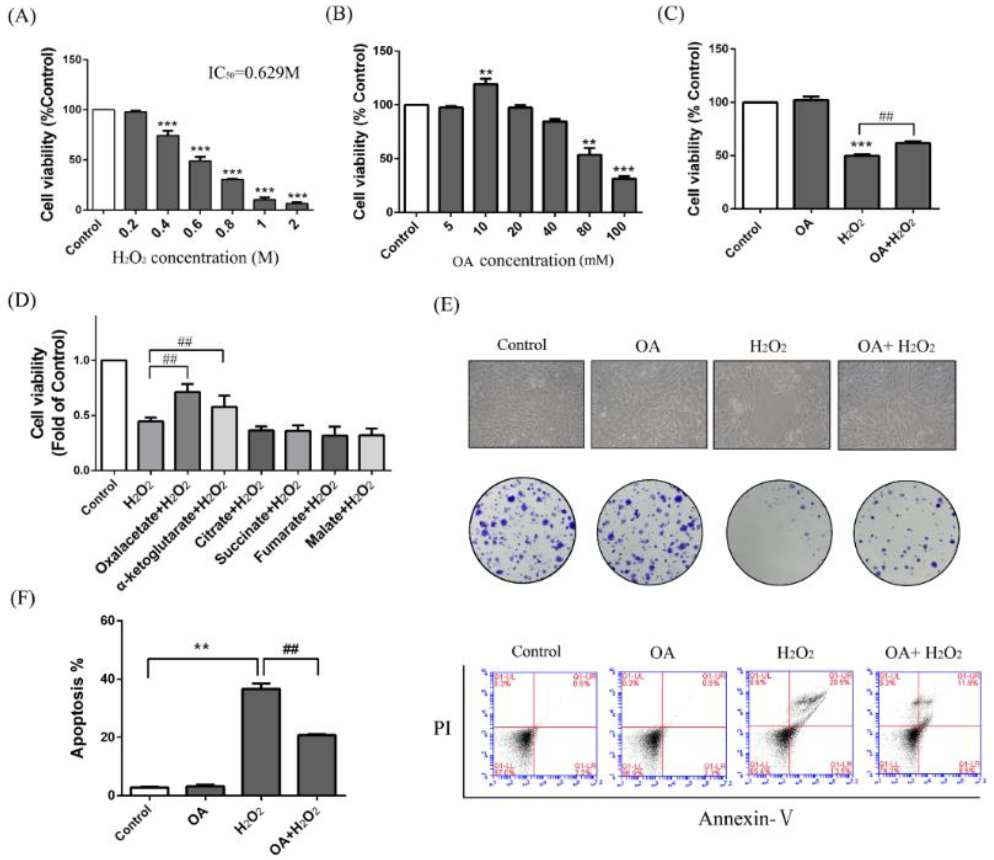 Ijms 19 01626 g001 550