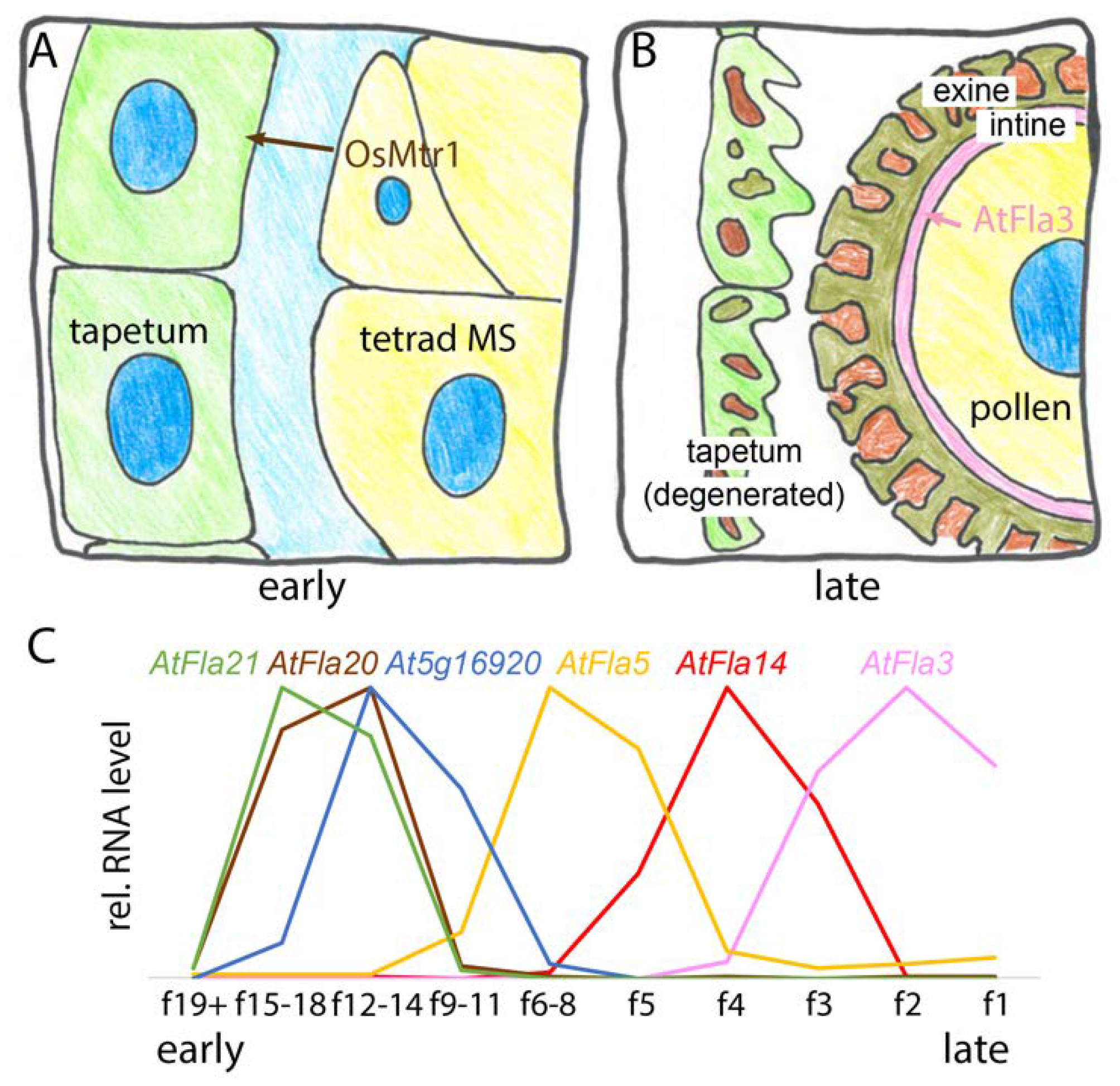 Ijms 19 01628 g007 Ijms 19 01628 g007
