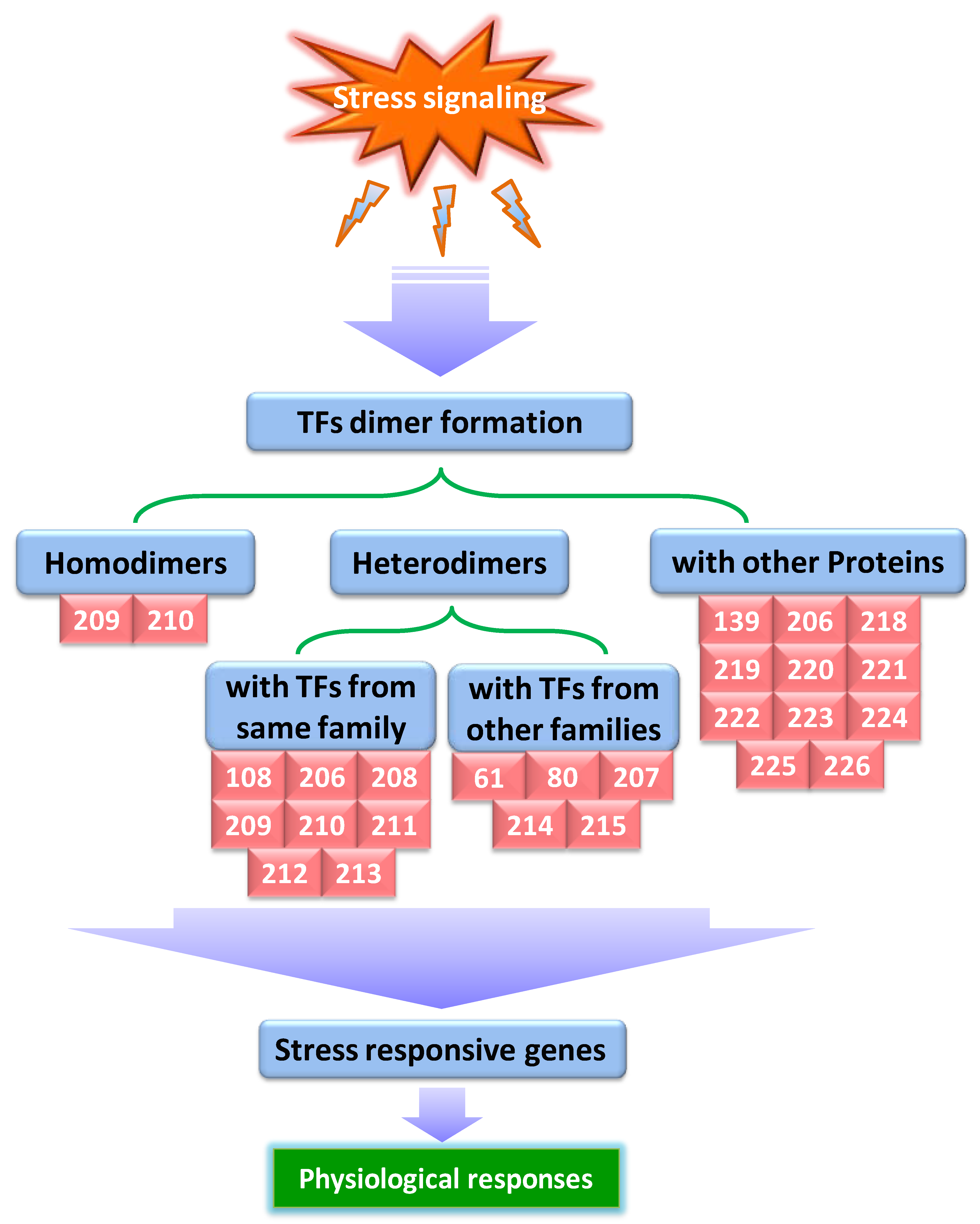 Ijms 19 01634 g002 Ijms 19 01634 g002