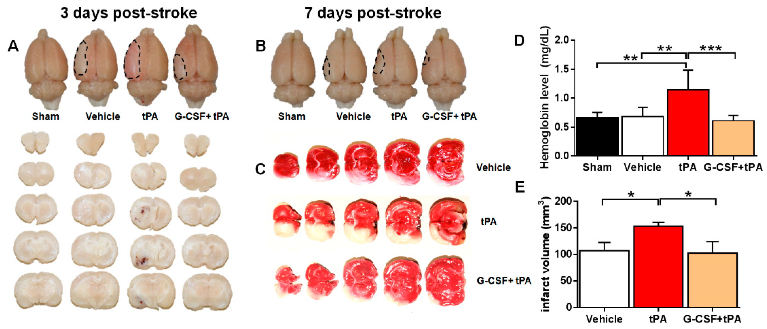 Ijms 19 01635 g001 Ijms 19 01635 g001