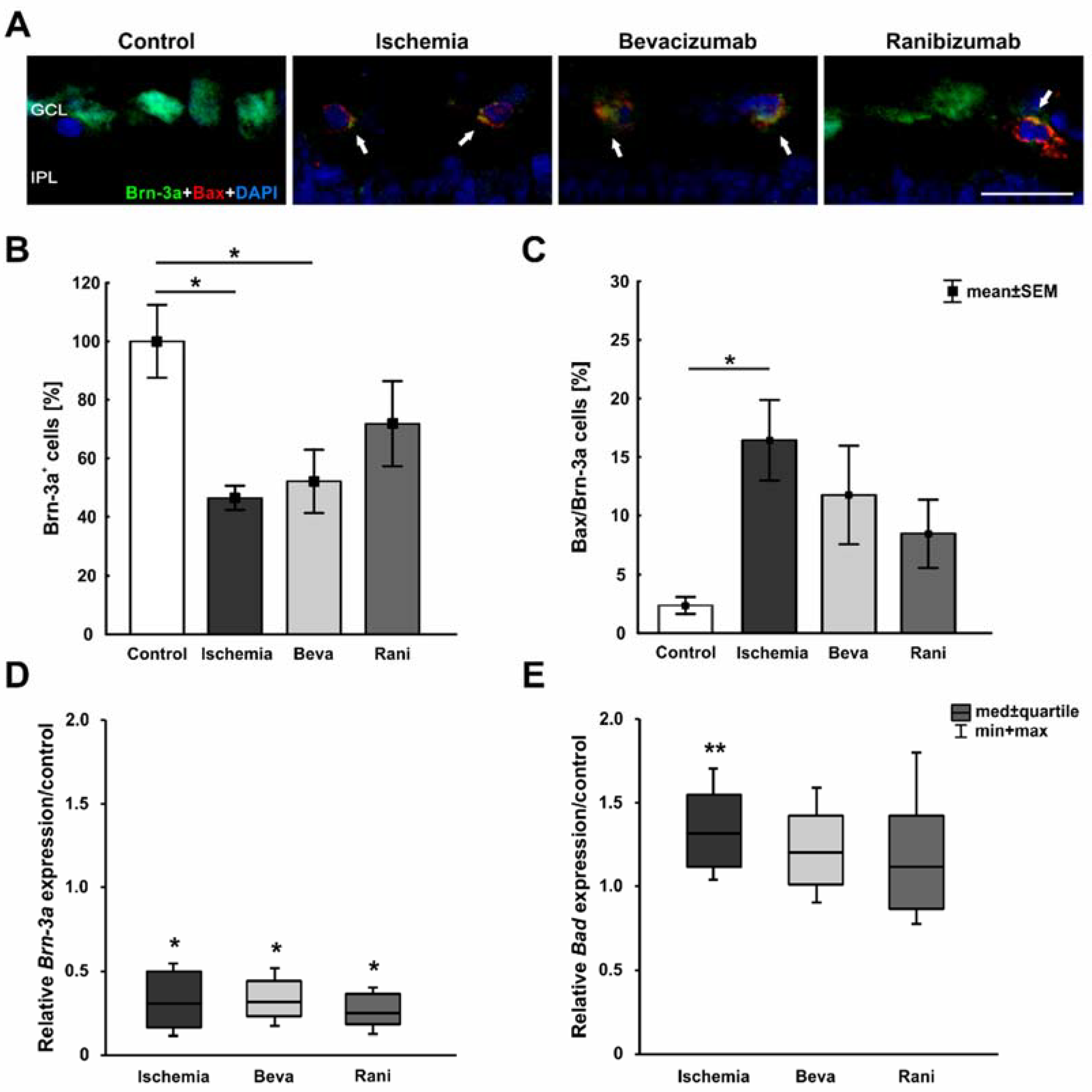 Ijms 19 01636 g002a Ijms 19 01636 g002a