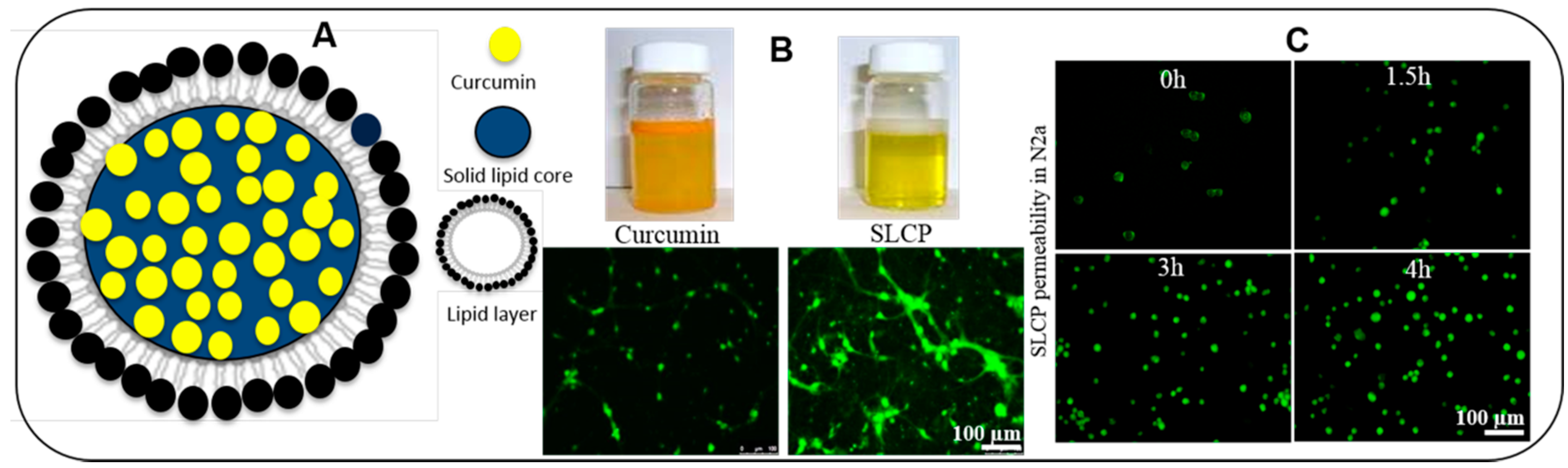 Ijms 19 01637 g010 Ijms 19 01637 g010