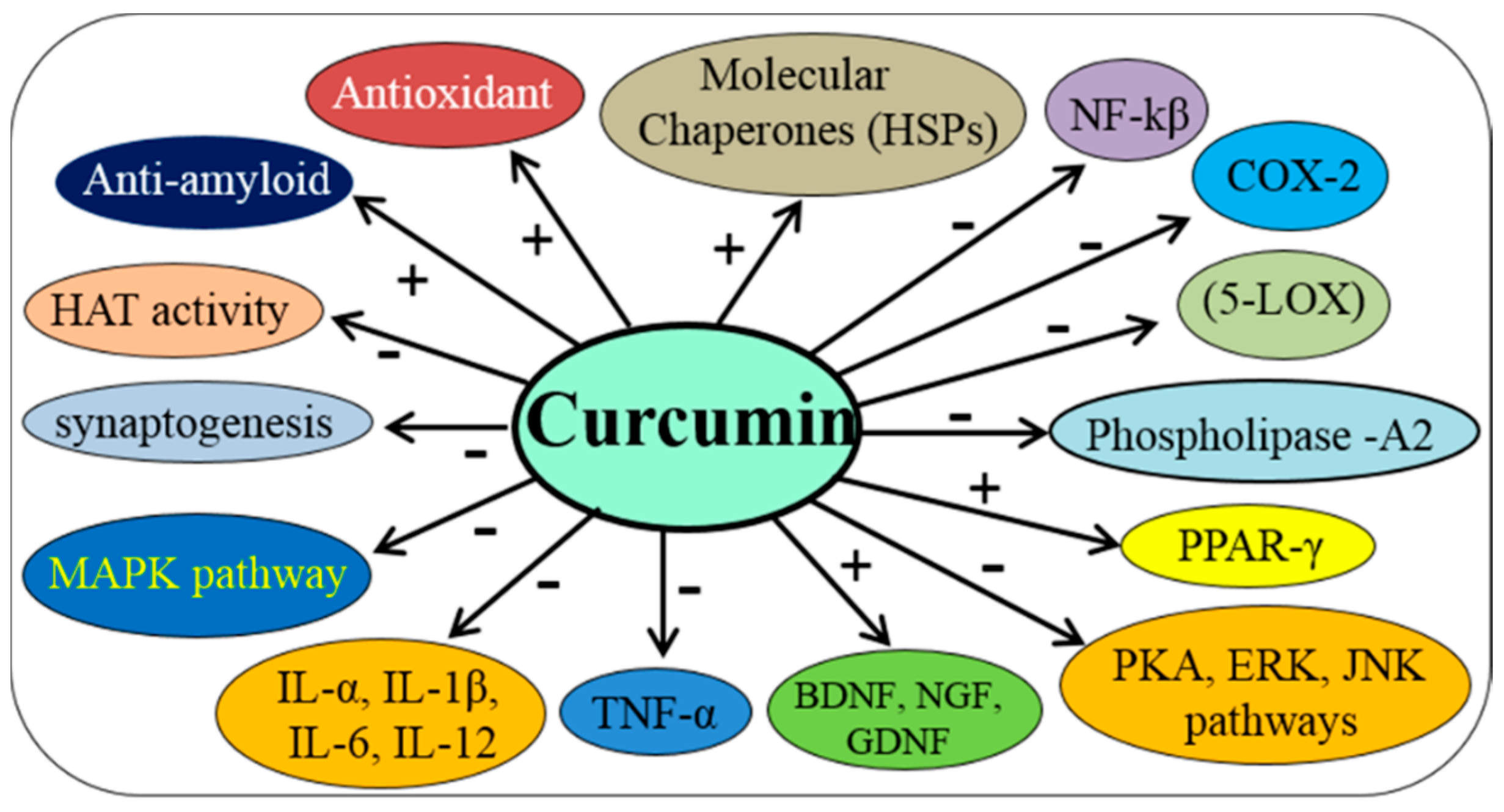 Ijms 19 01637 g012 Ijms 19 01637 g012