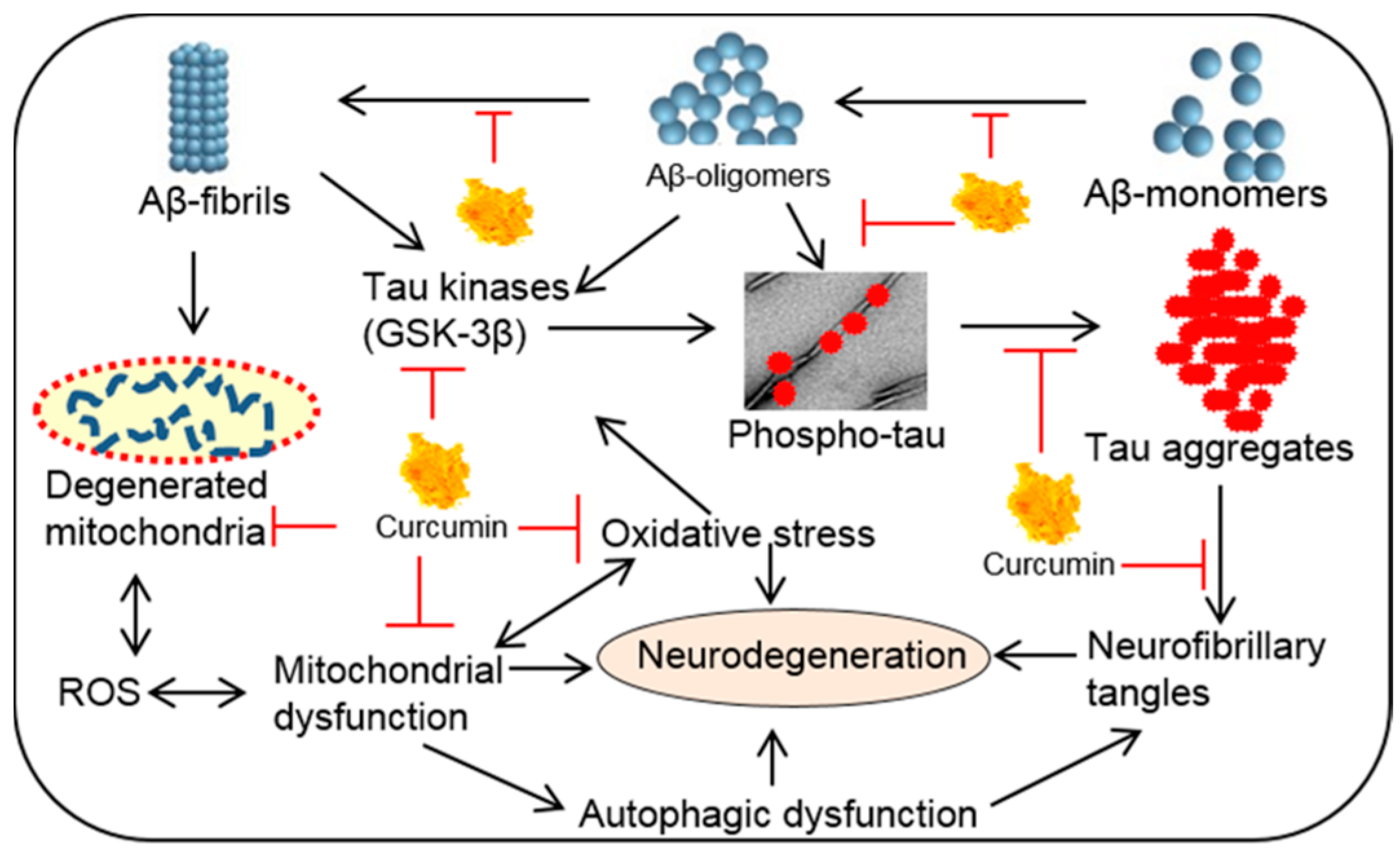 Ijms 19 01637 g015 Ijms 19 01637 g015