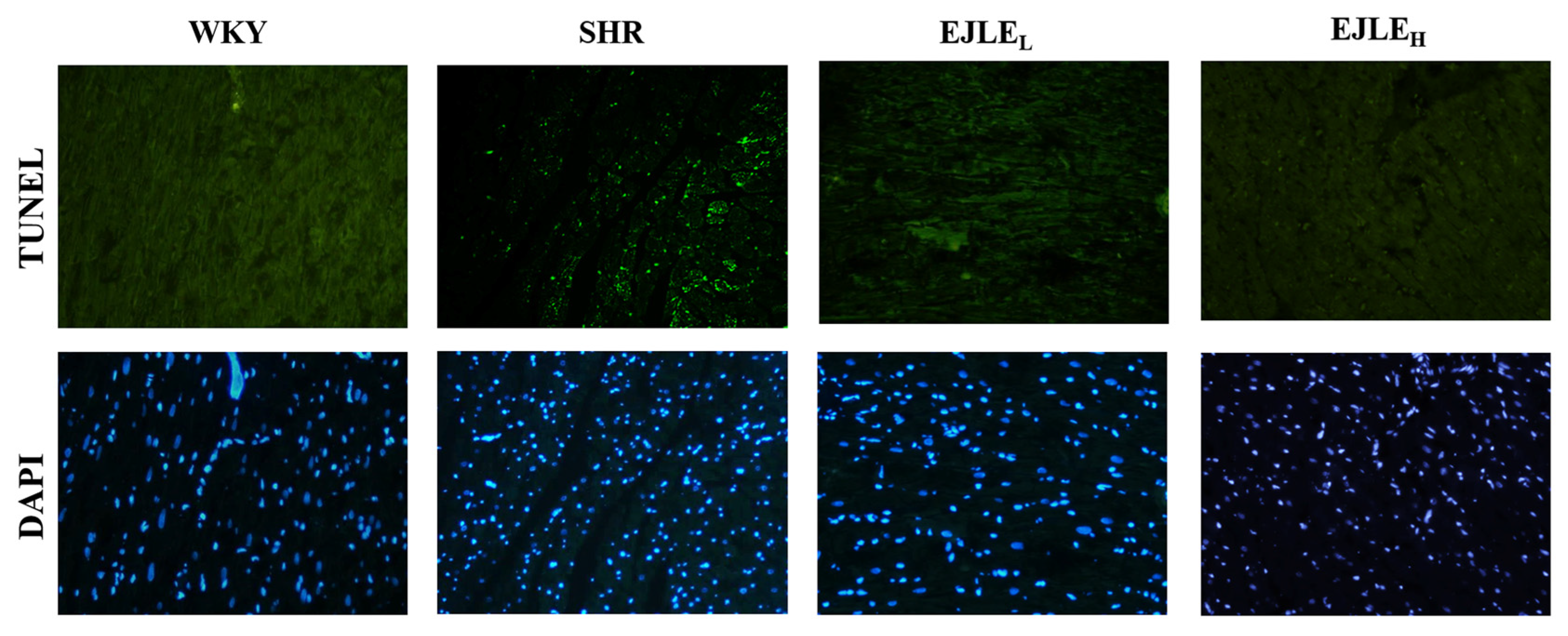 Ijms 19 01638 g002 Ijms 19 01638 g002
