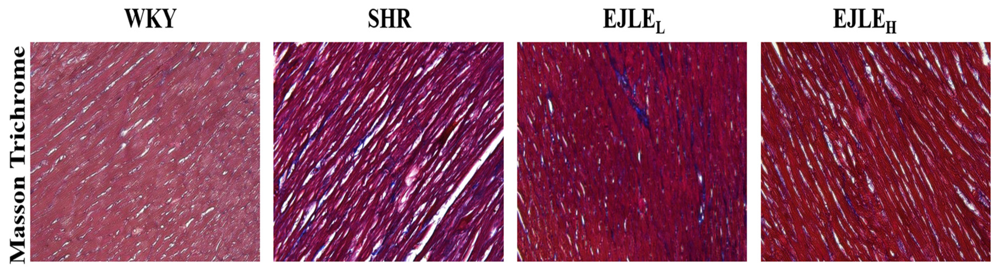 Ijms 19 01638 g005 Ijms 19 01638 g005