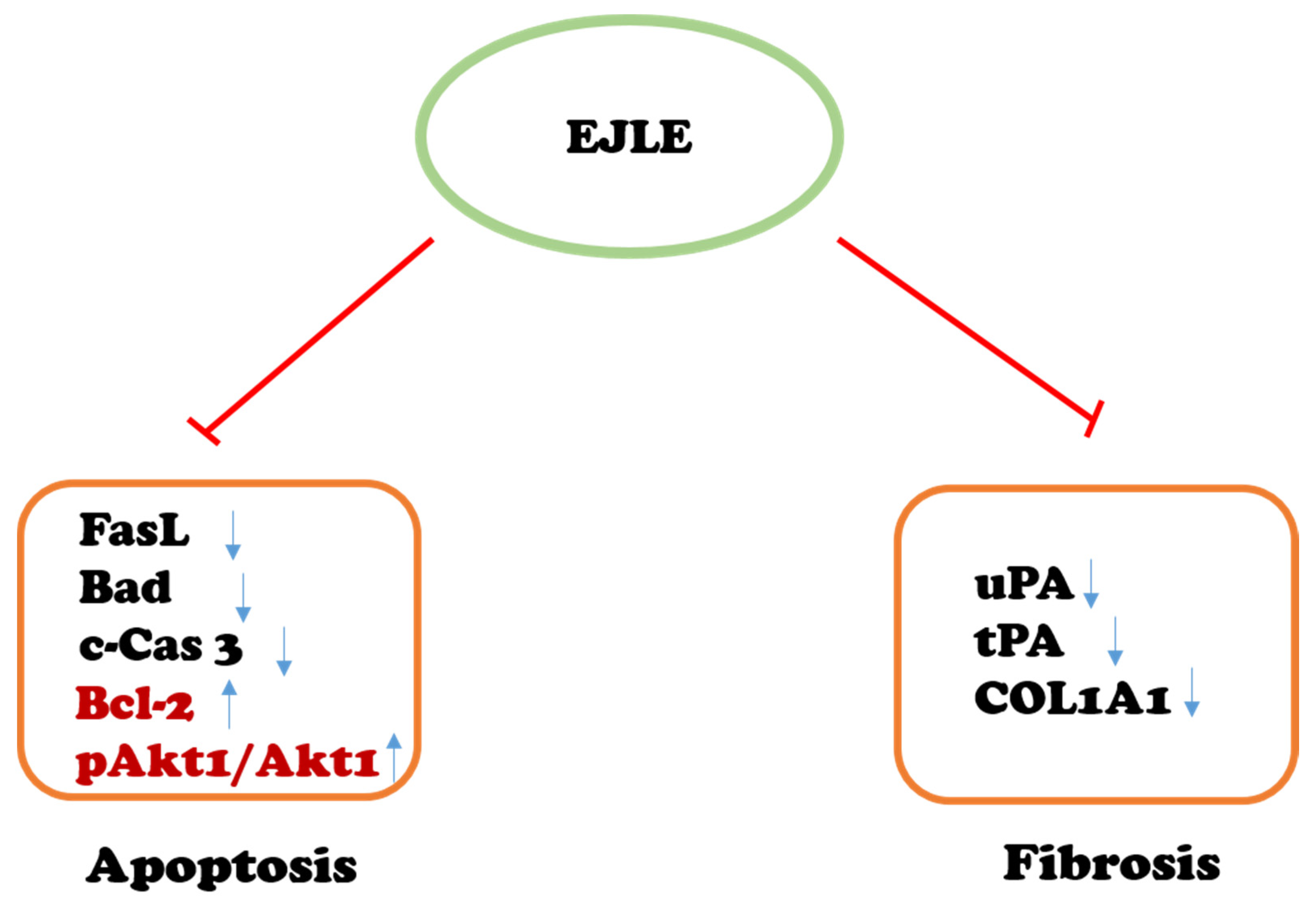 Ijms 19 01638 g007 Ijms 19 01638 g007