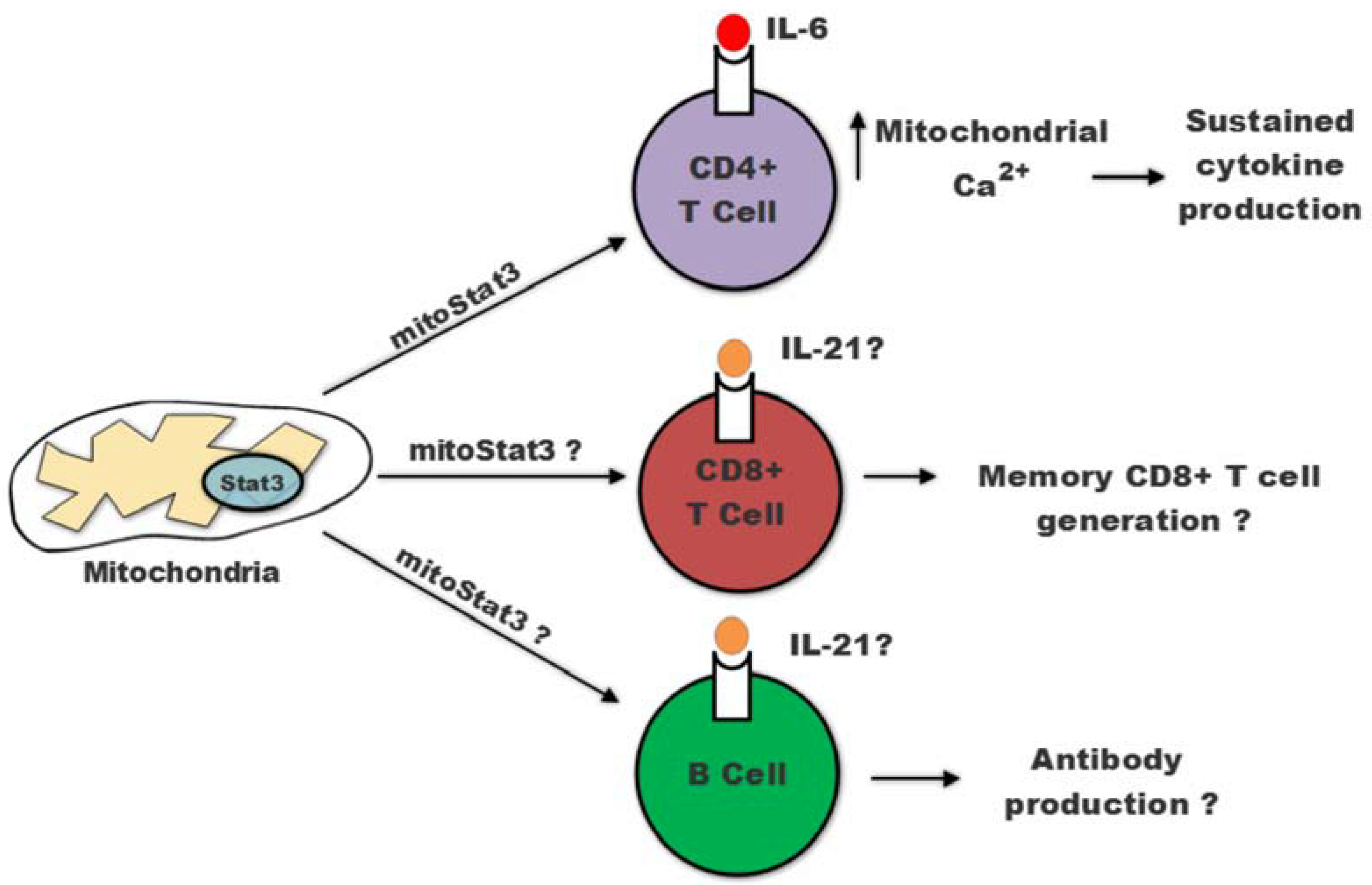 Ijms 19 01656 g002