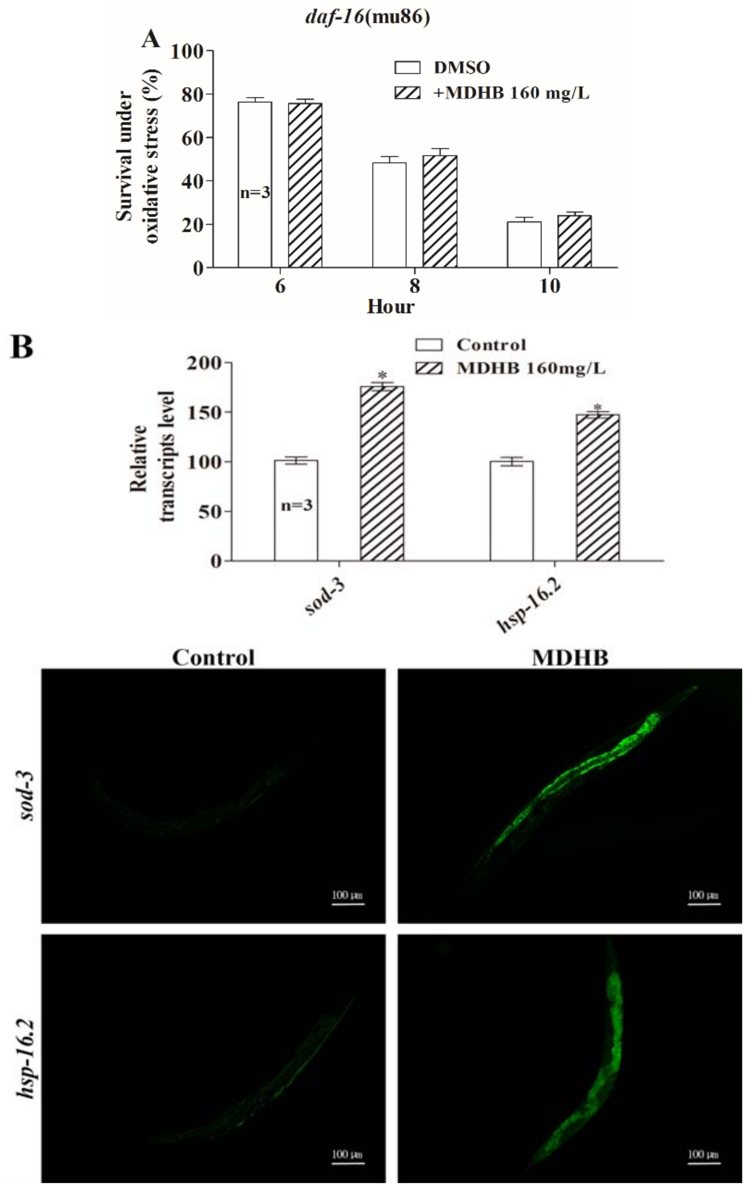 Ijms 19 01670 g008a Ijms 19 01670 g008a