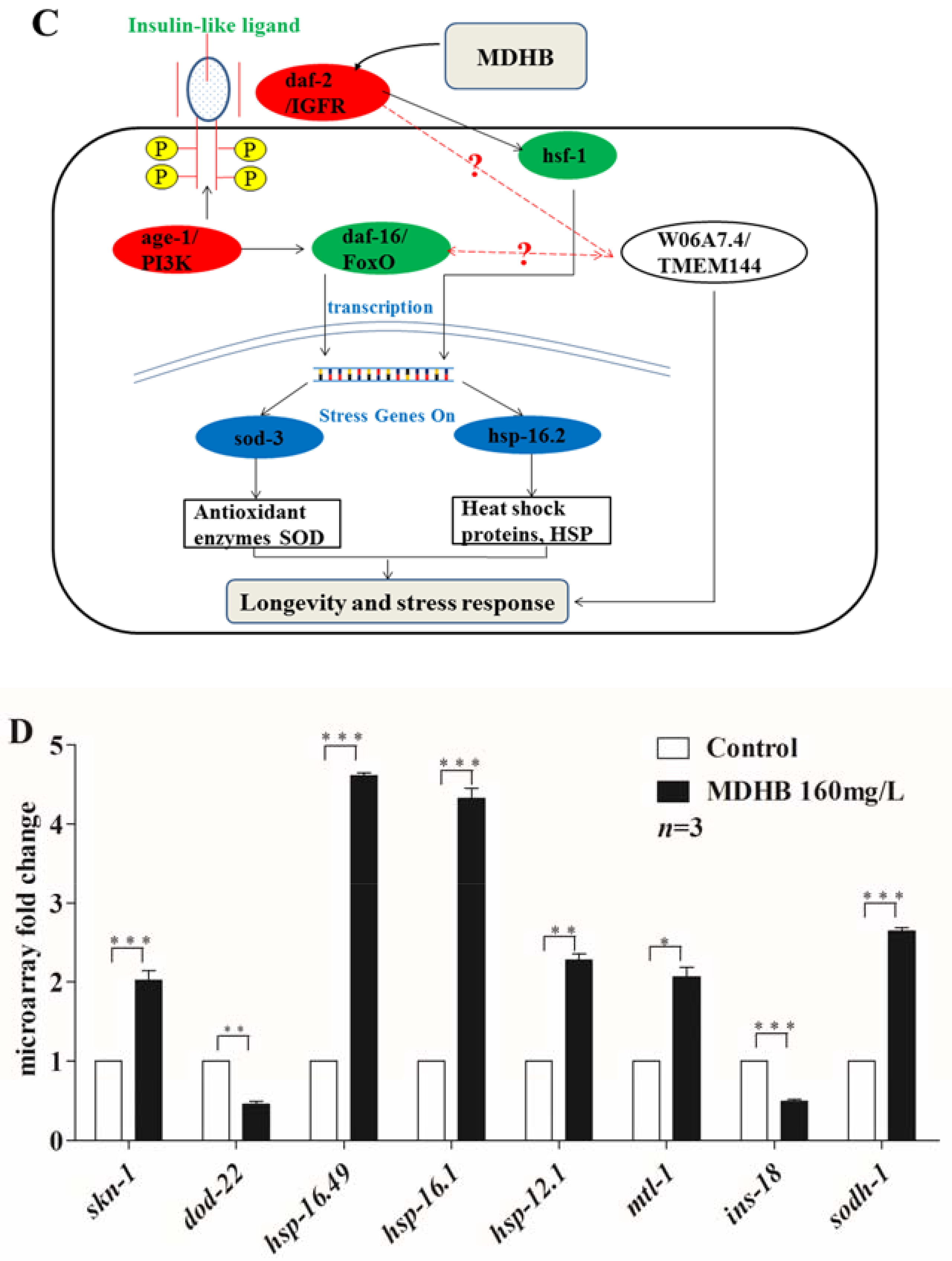 Ijms 19 01670 g008b Ijms 19 01670 g008b