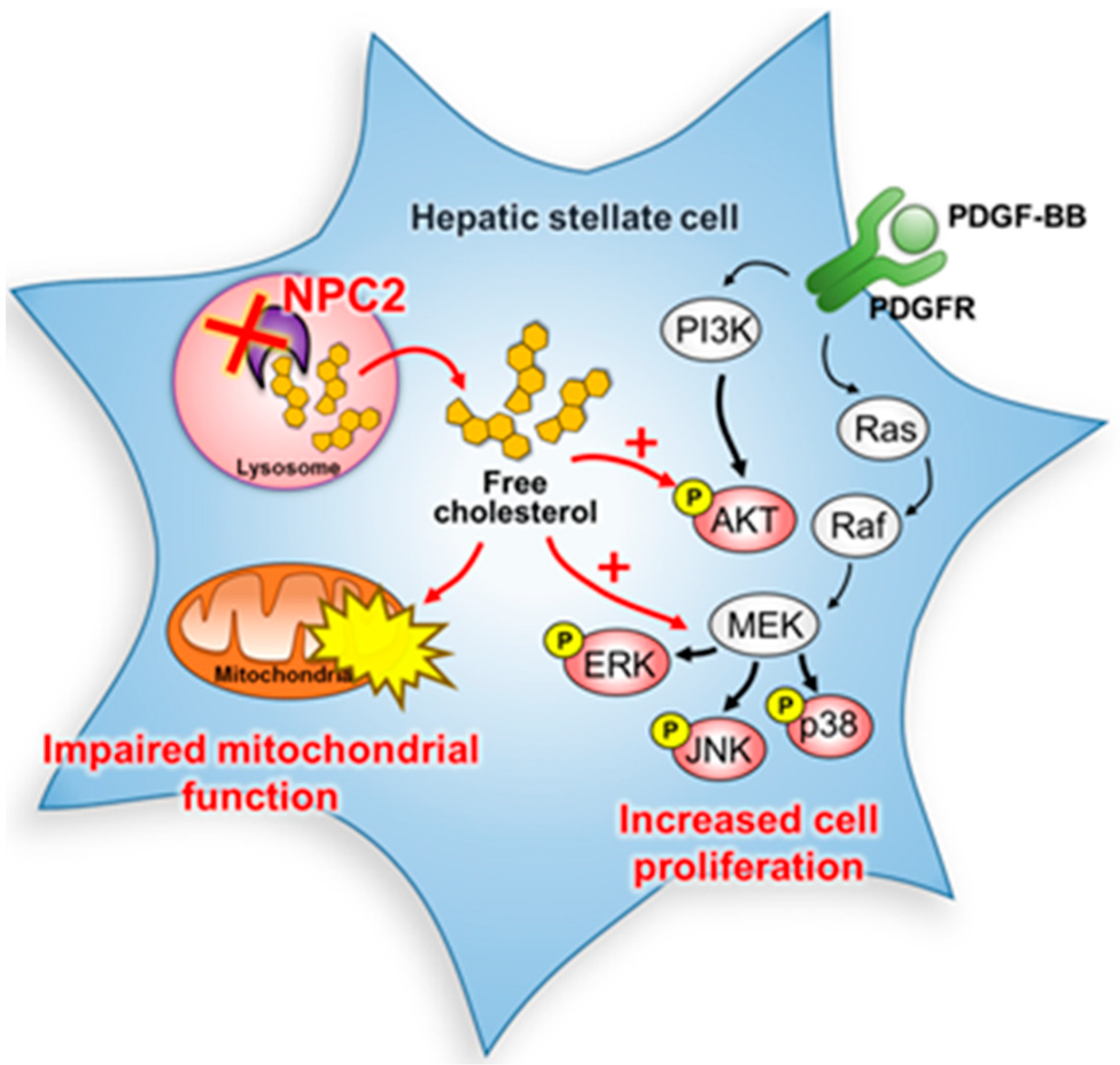 A new regulatory mechanism of STARD1 in Niemann-Pick disease type C (NPC),  discovered