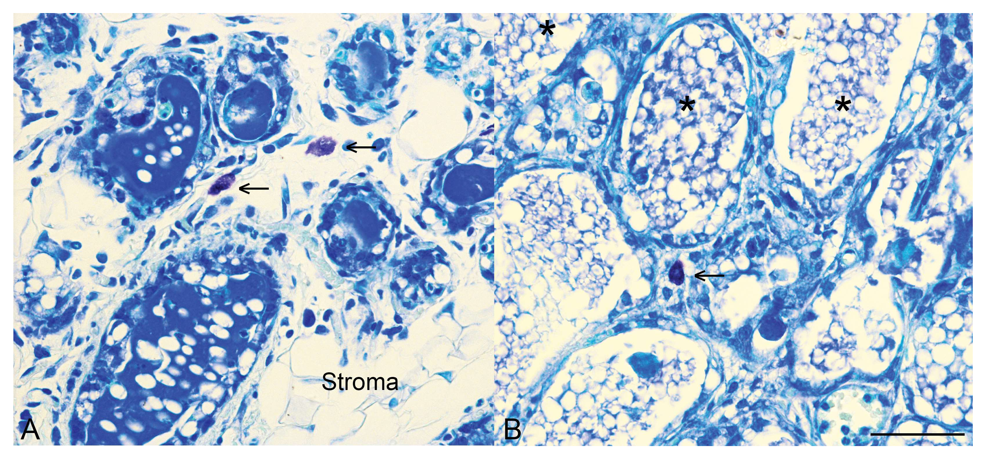 Ijms 19 01695 g002