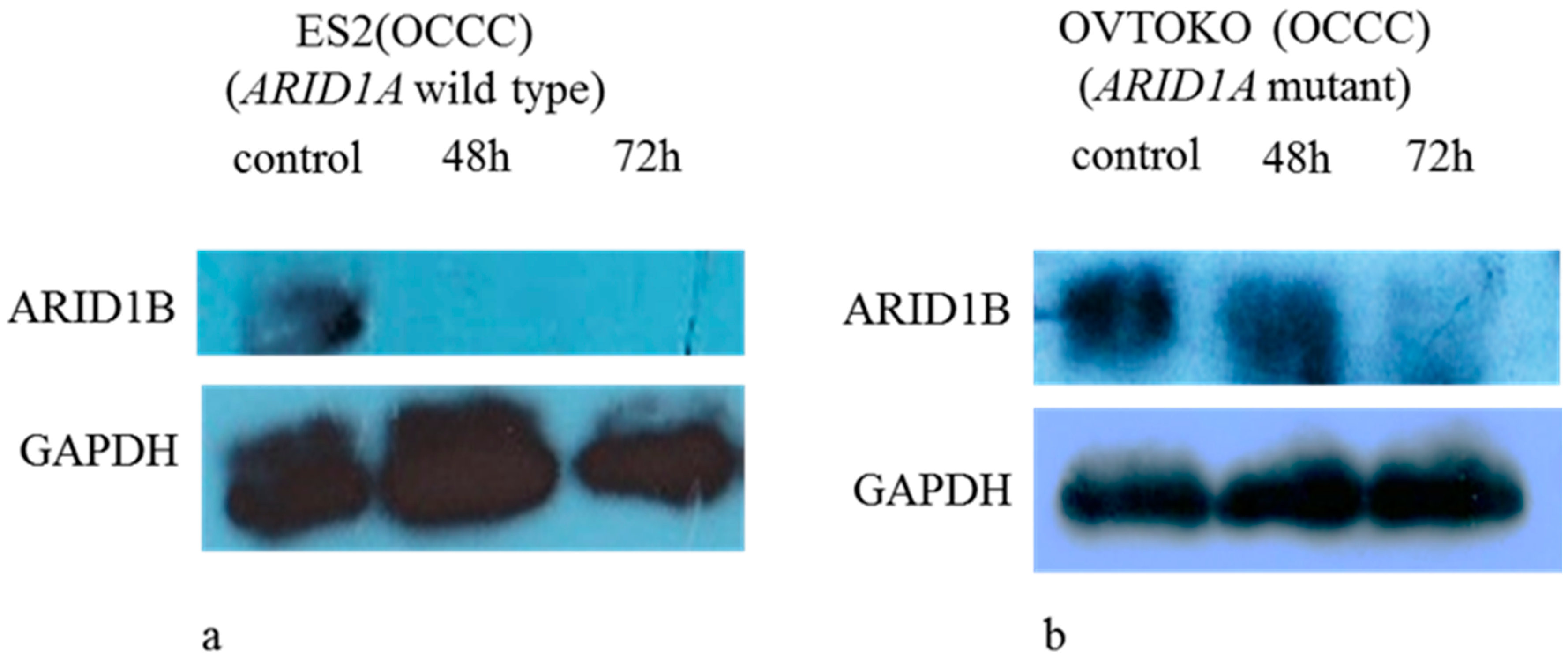 Ijms 19 01710 g001 Ijms 19 01710 g001