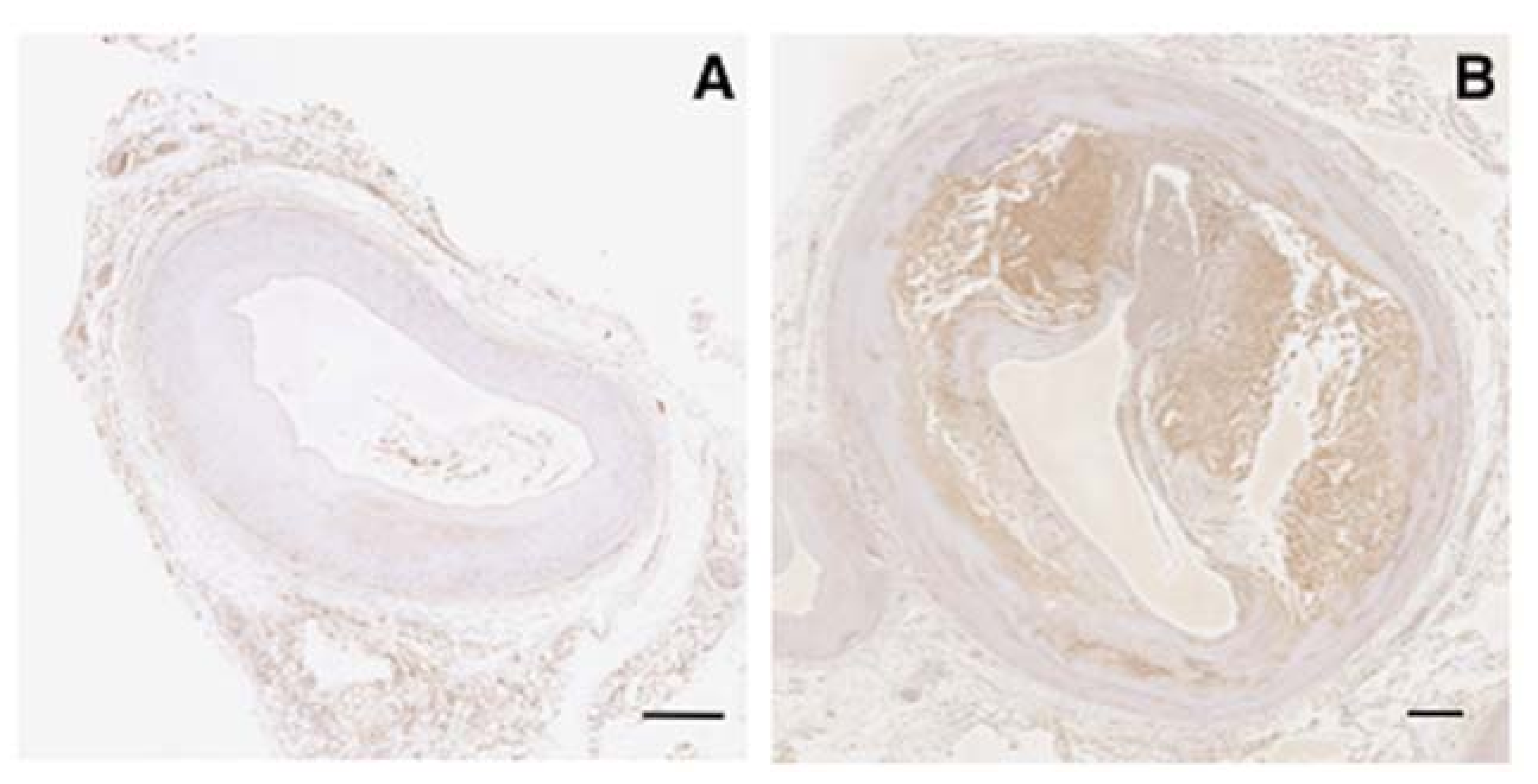 Ijms 19 01732 g001