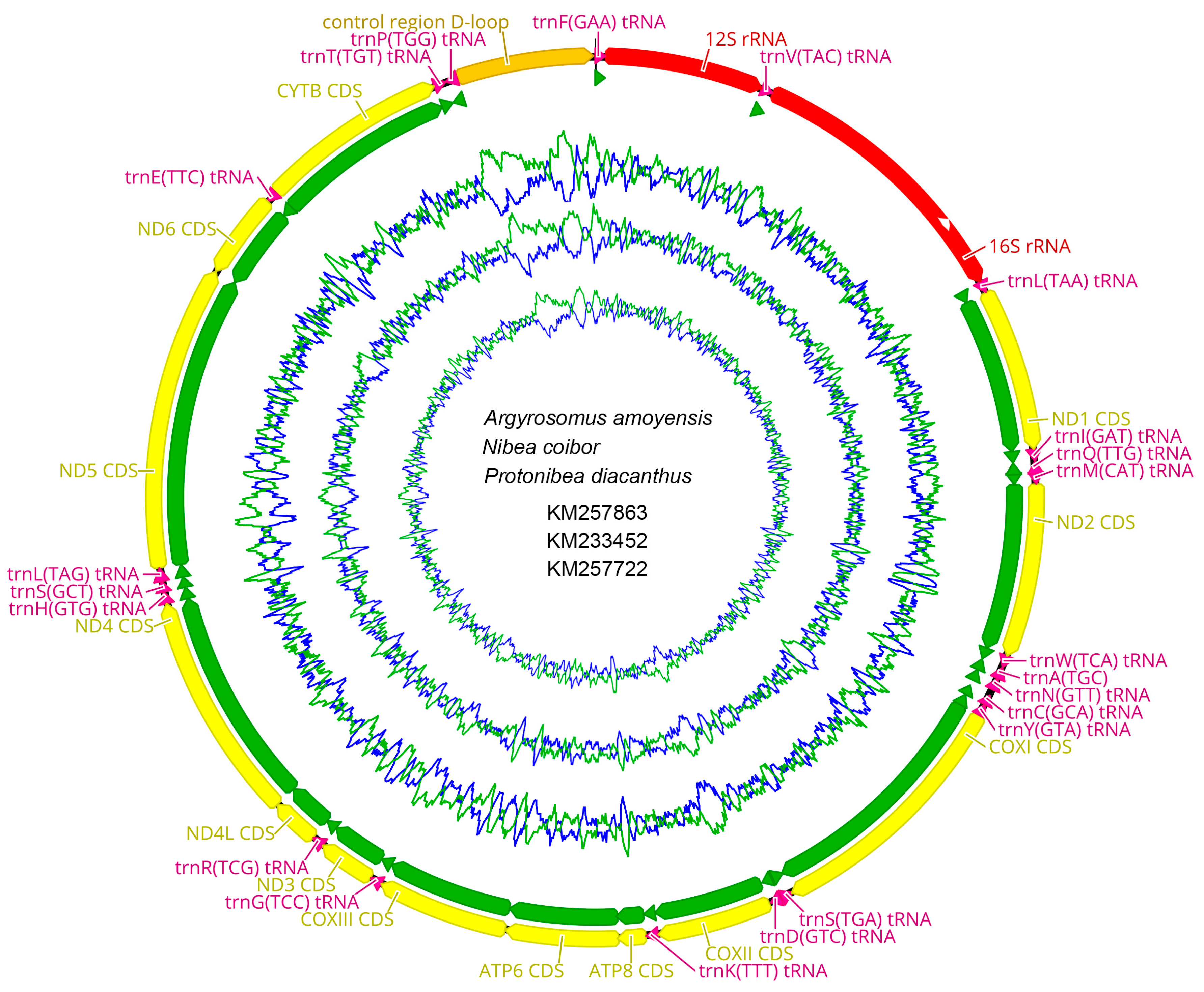 Ijms 19 01741 g001 Ijms 19 01741 g001