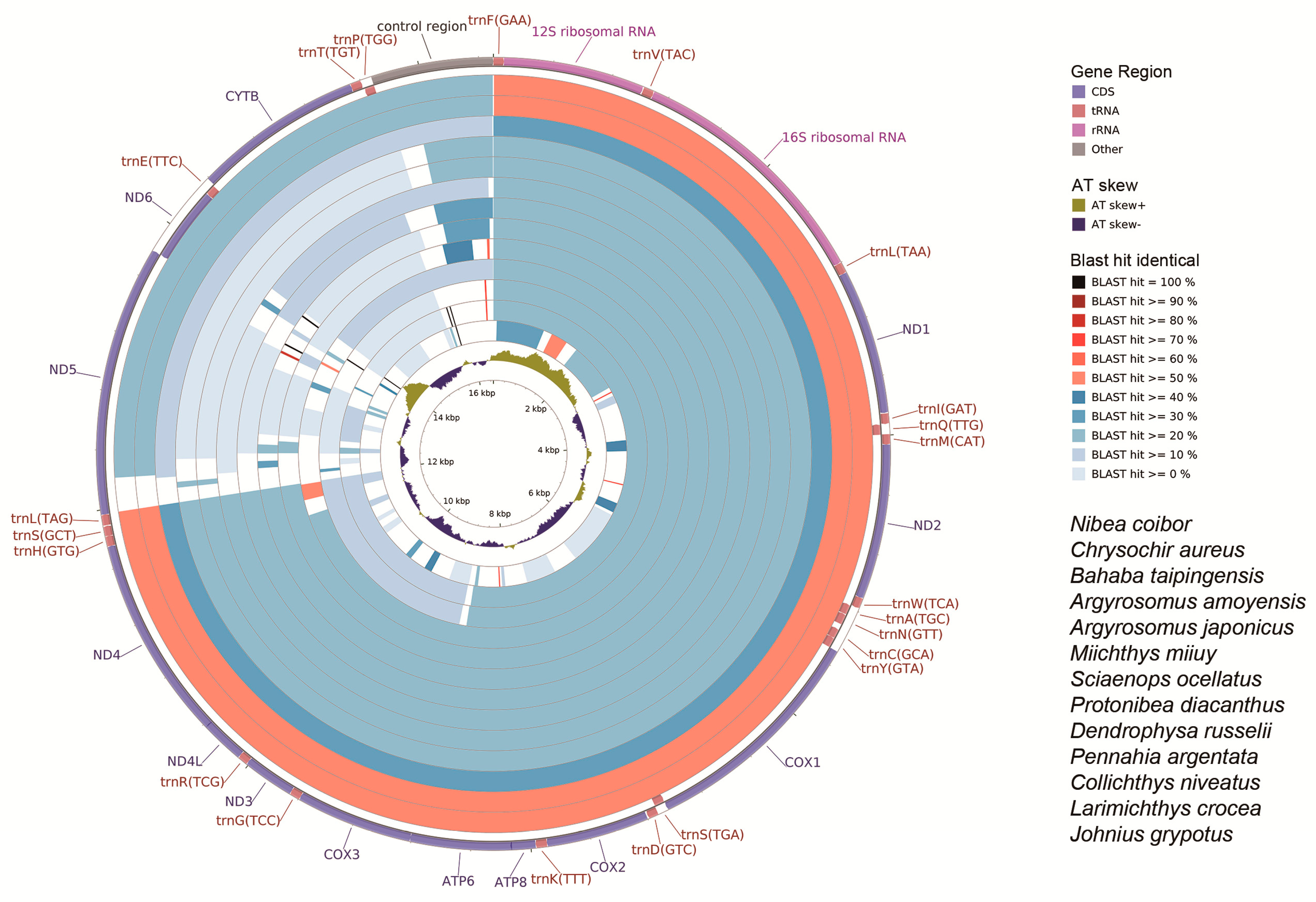 Ijms 19 01741 g006 Ijms 19 01741 g006