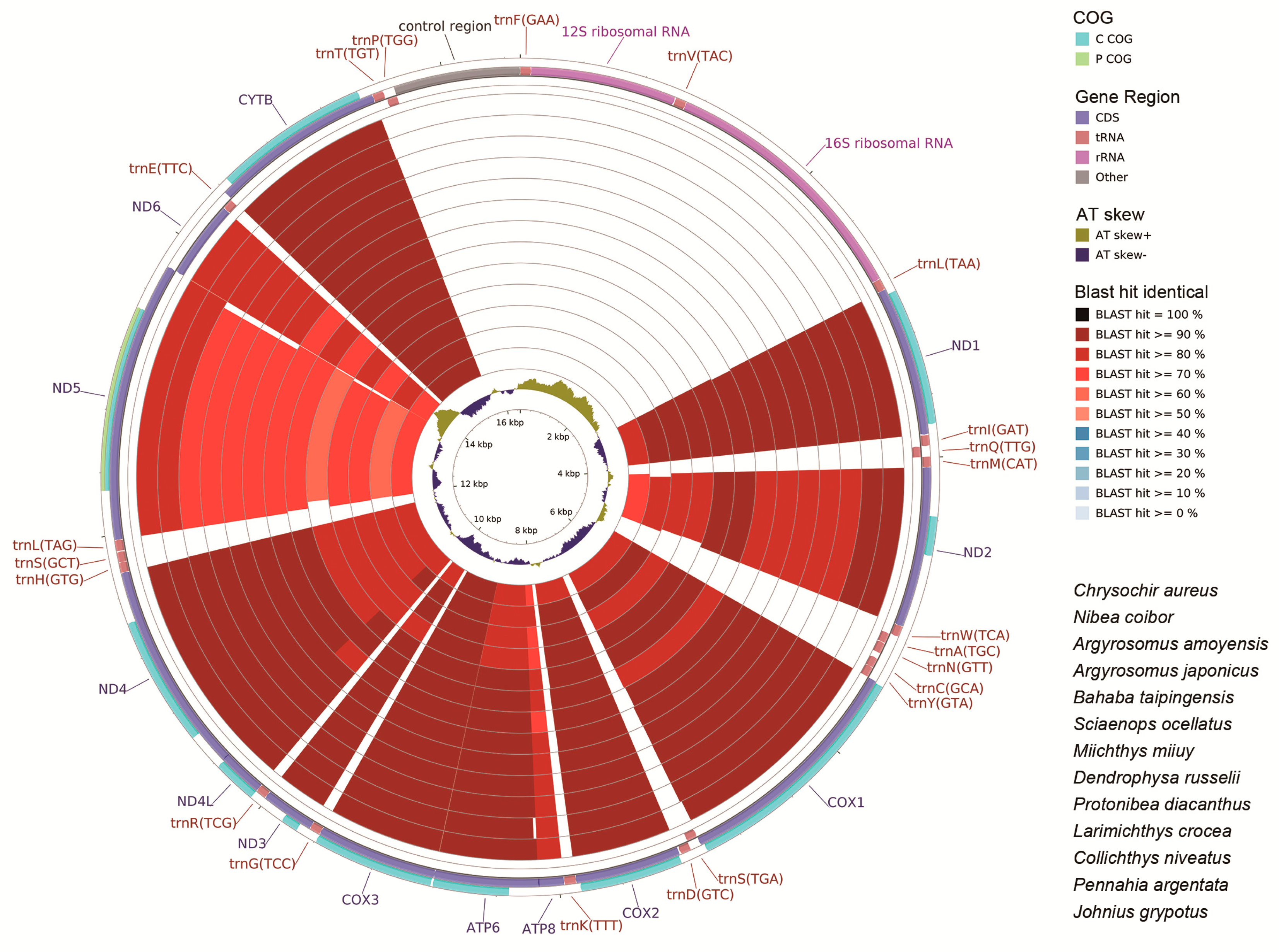 Ijms 19 01741 g007 Ijms 19 01741 g007