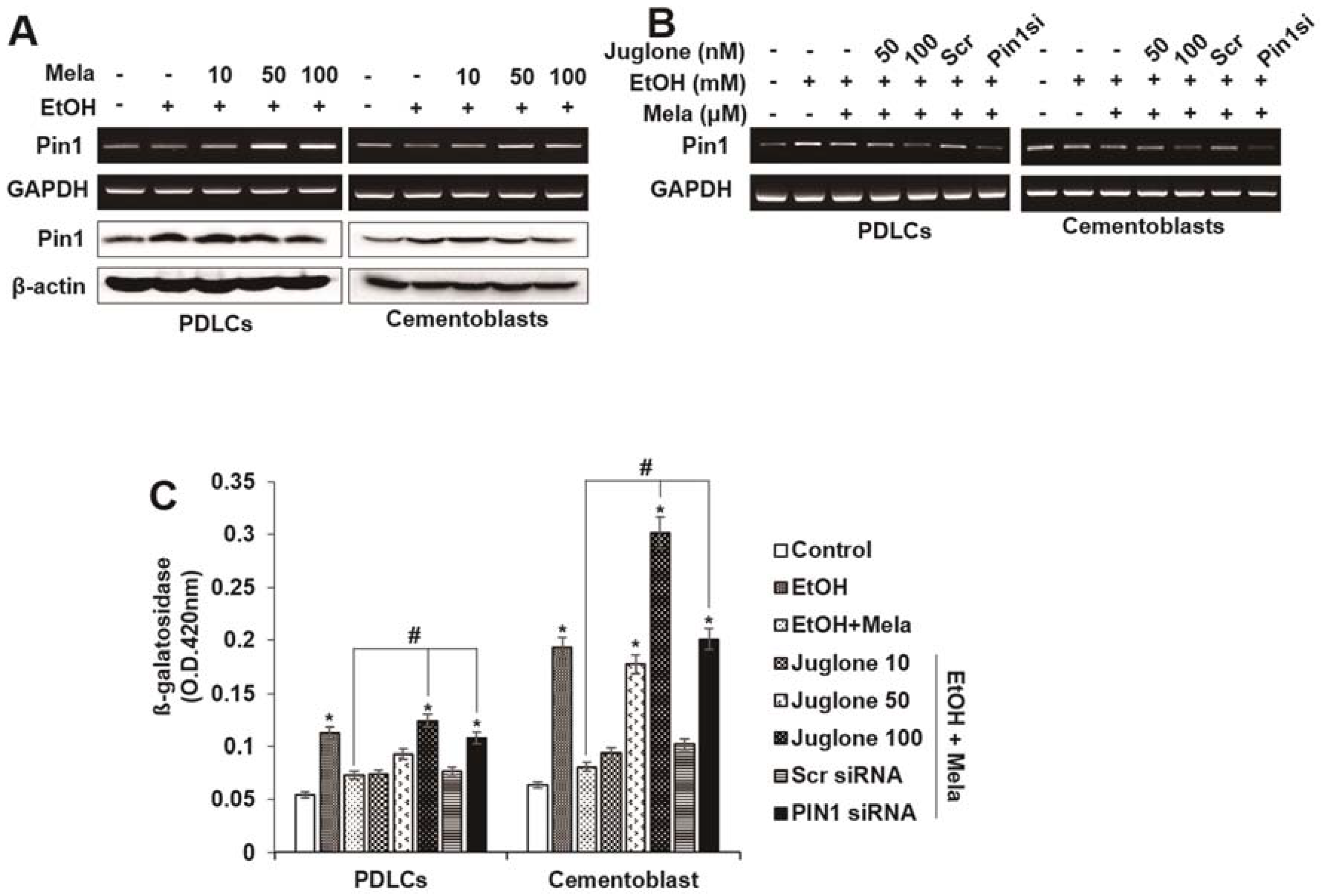Ijms 19 01742 g005a Ijms 19 01742 g005a