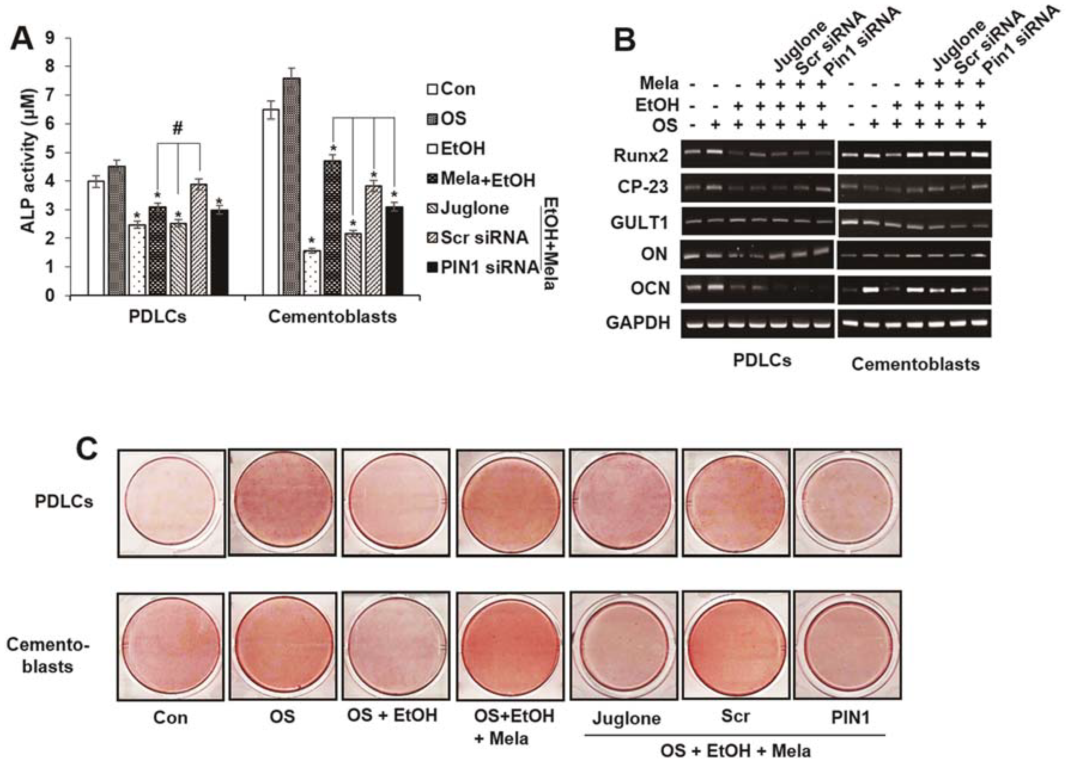 Ijms 19 01742 g006 Ijms 19 01742 g006