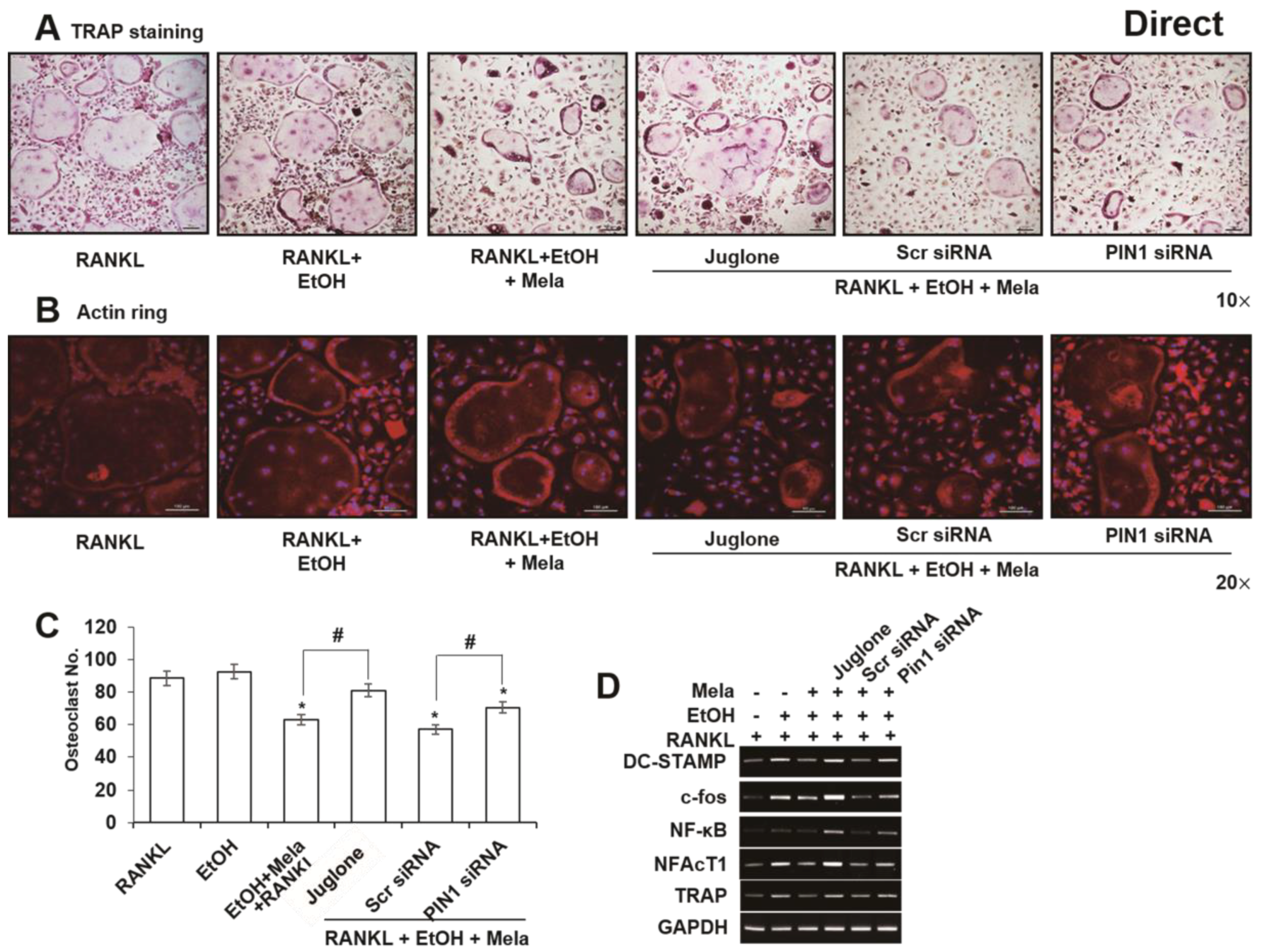 Ijms 19 01742 g008 Ijms 19 01742 g008