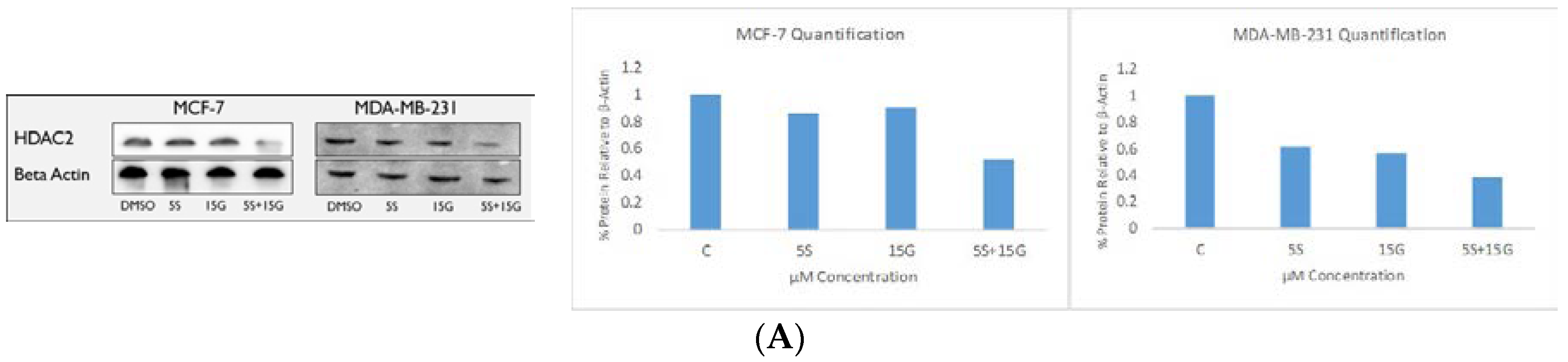 Ijms 19 01754 g010a