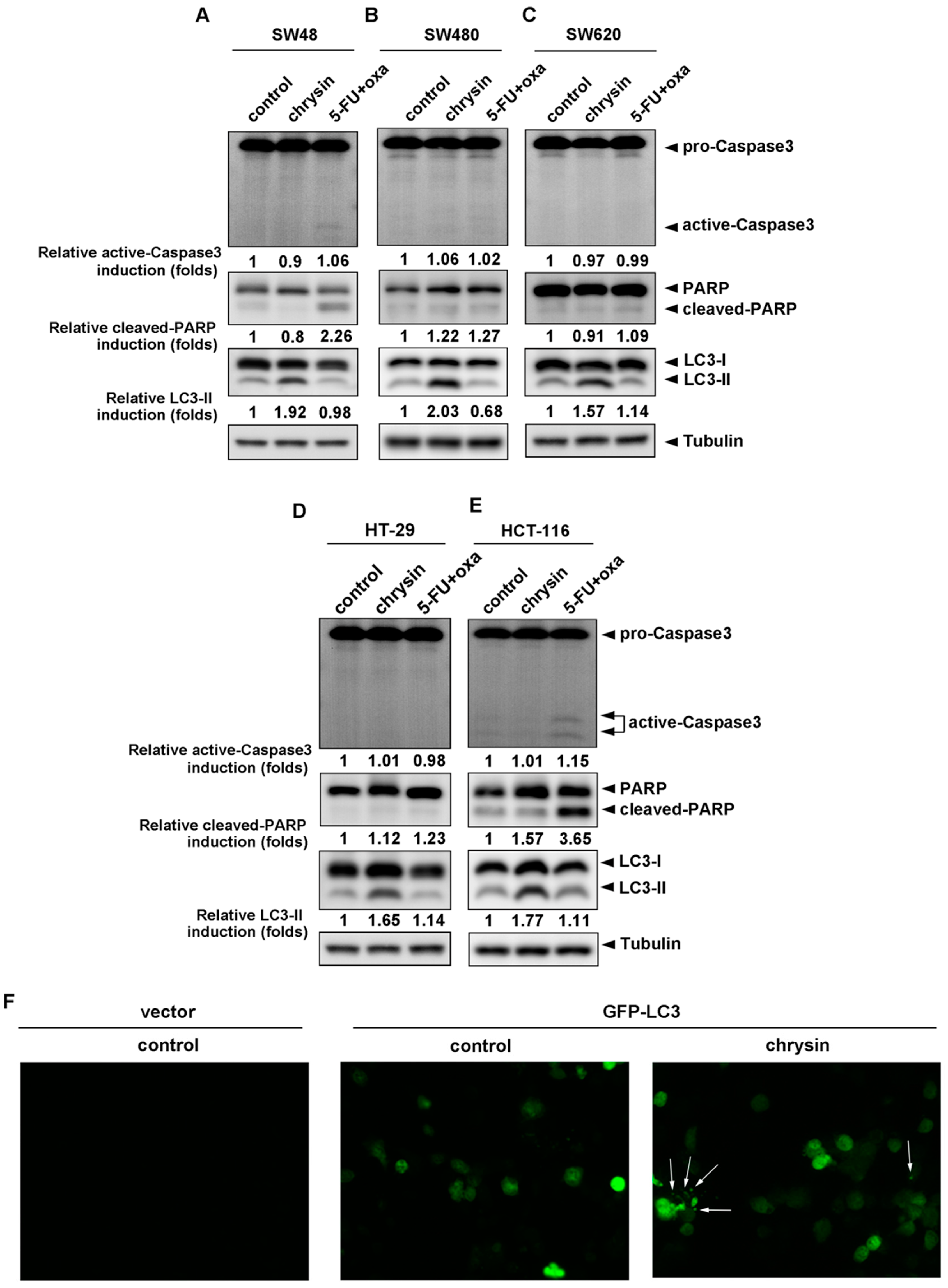 Ijms 19 01763 g002