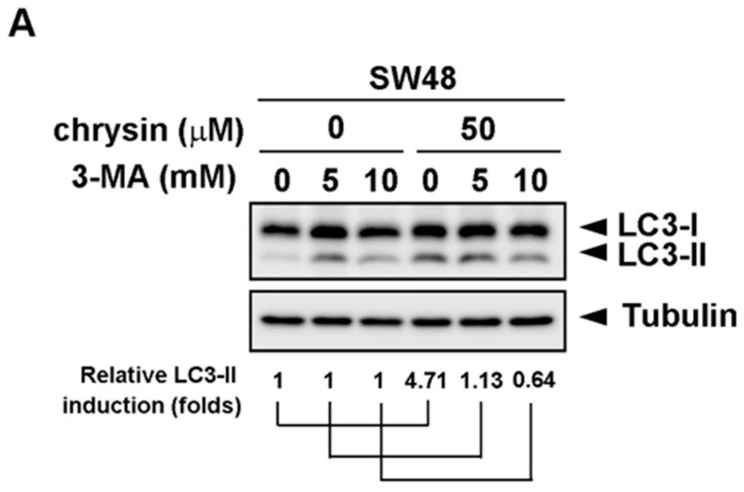 Ijms 19 01763 g004a