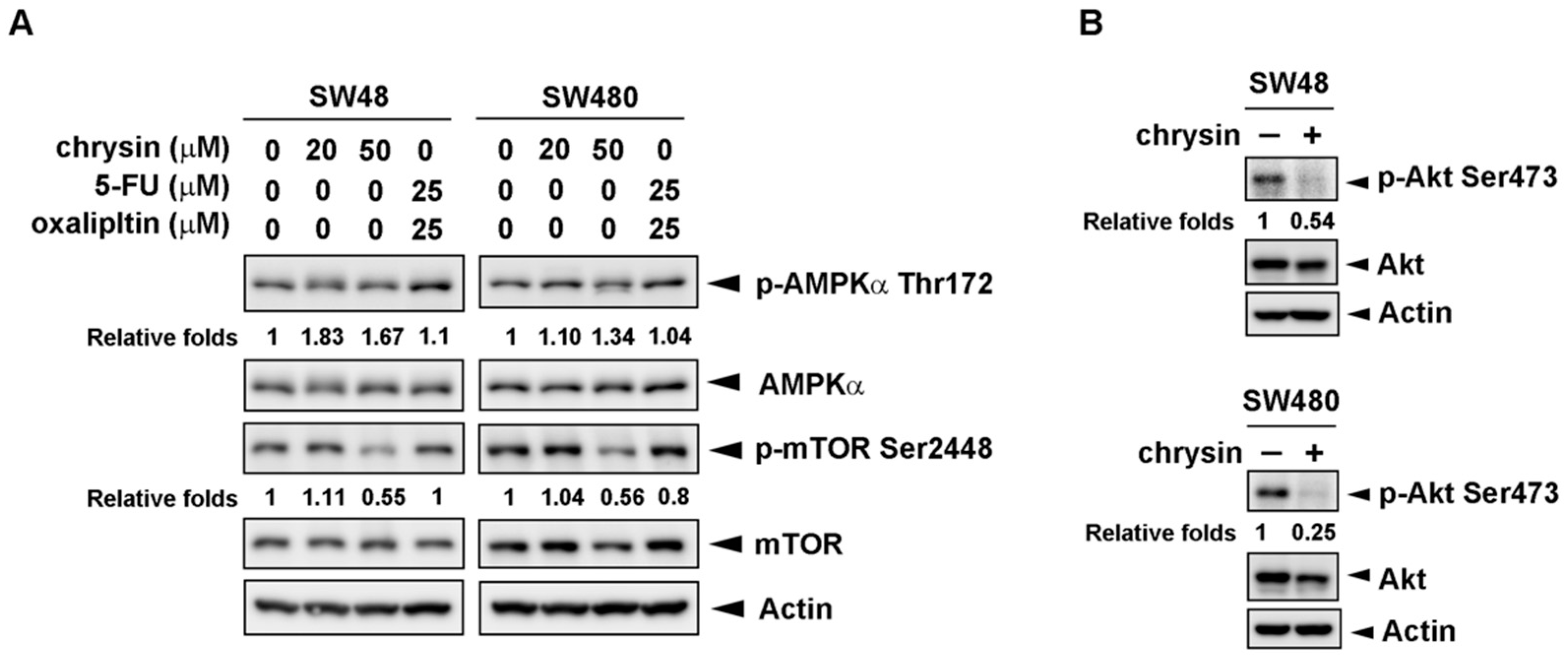 Ijms 19 01763 g005