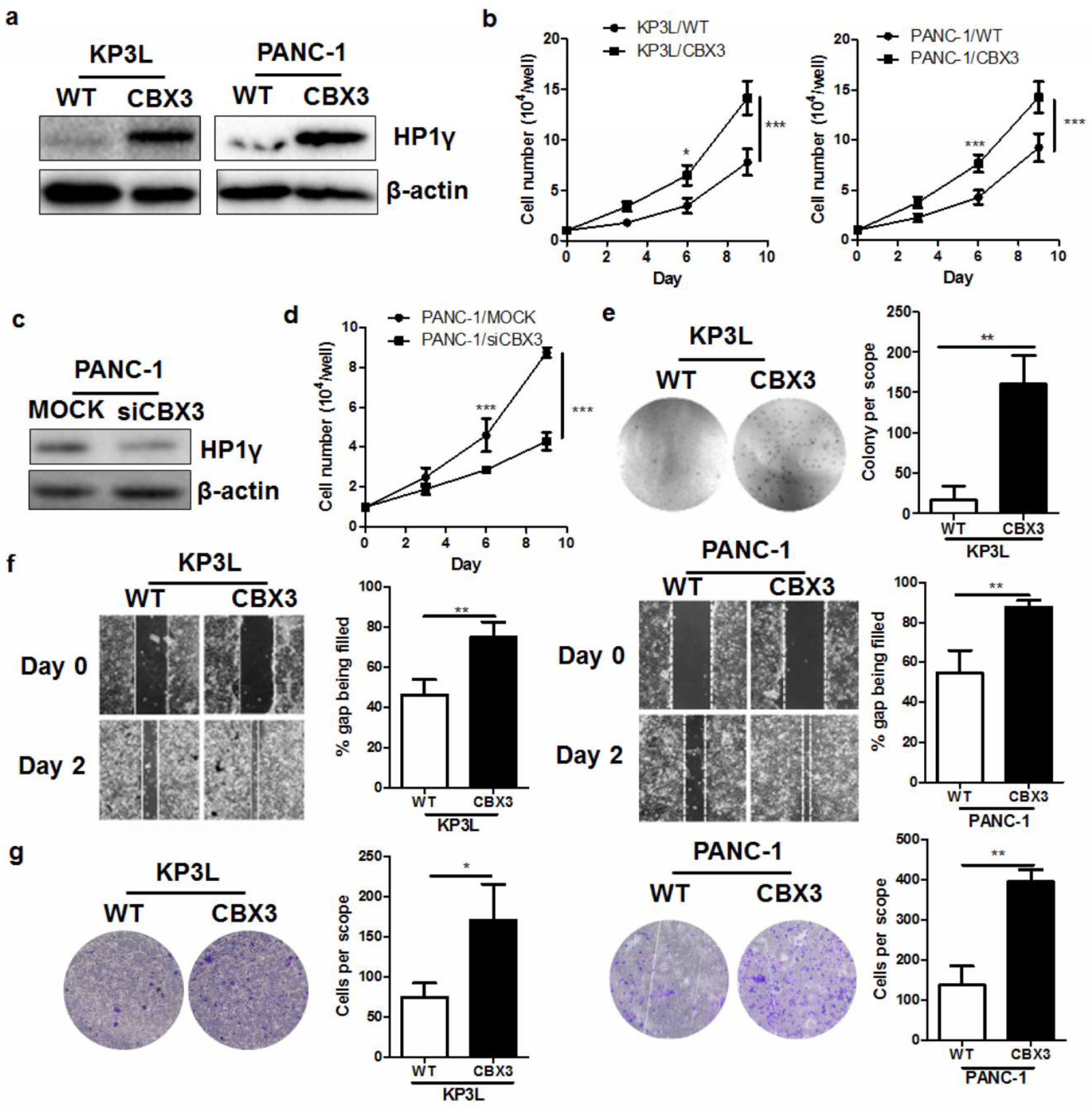 Ijms 19 01768 g002 Ijms 19 01768 g002