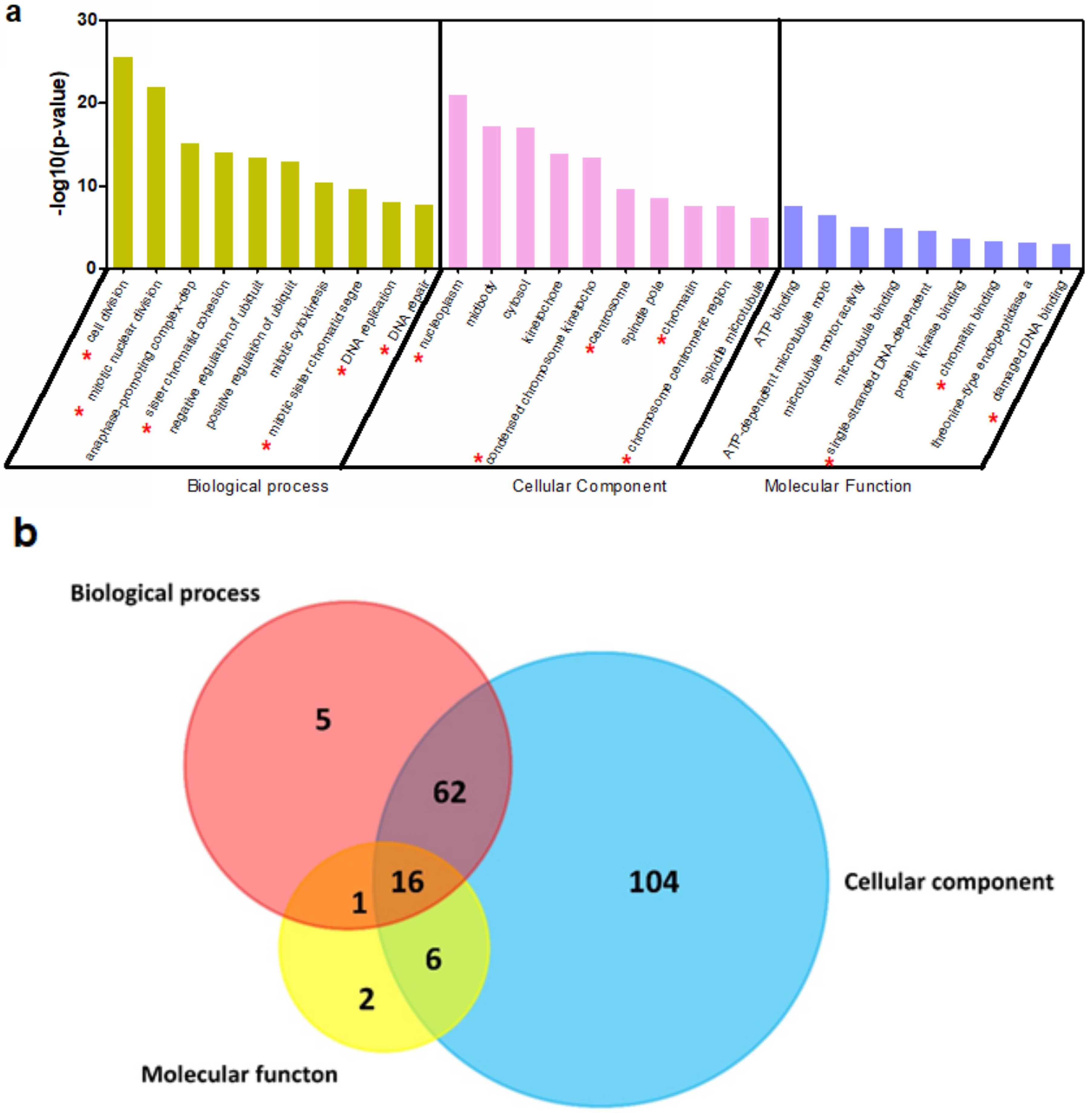 Ijms 19 01768 g004a Ijms 19 01768 g004a