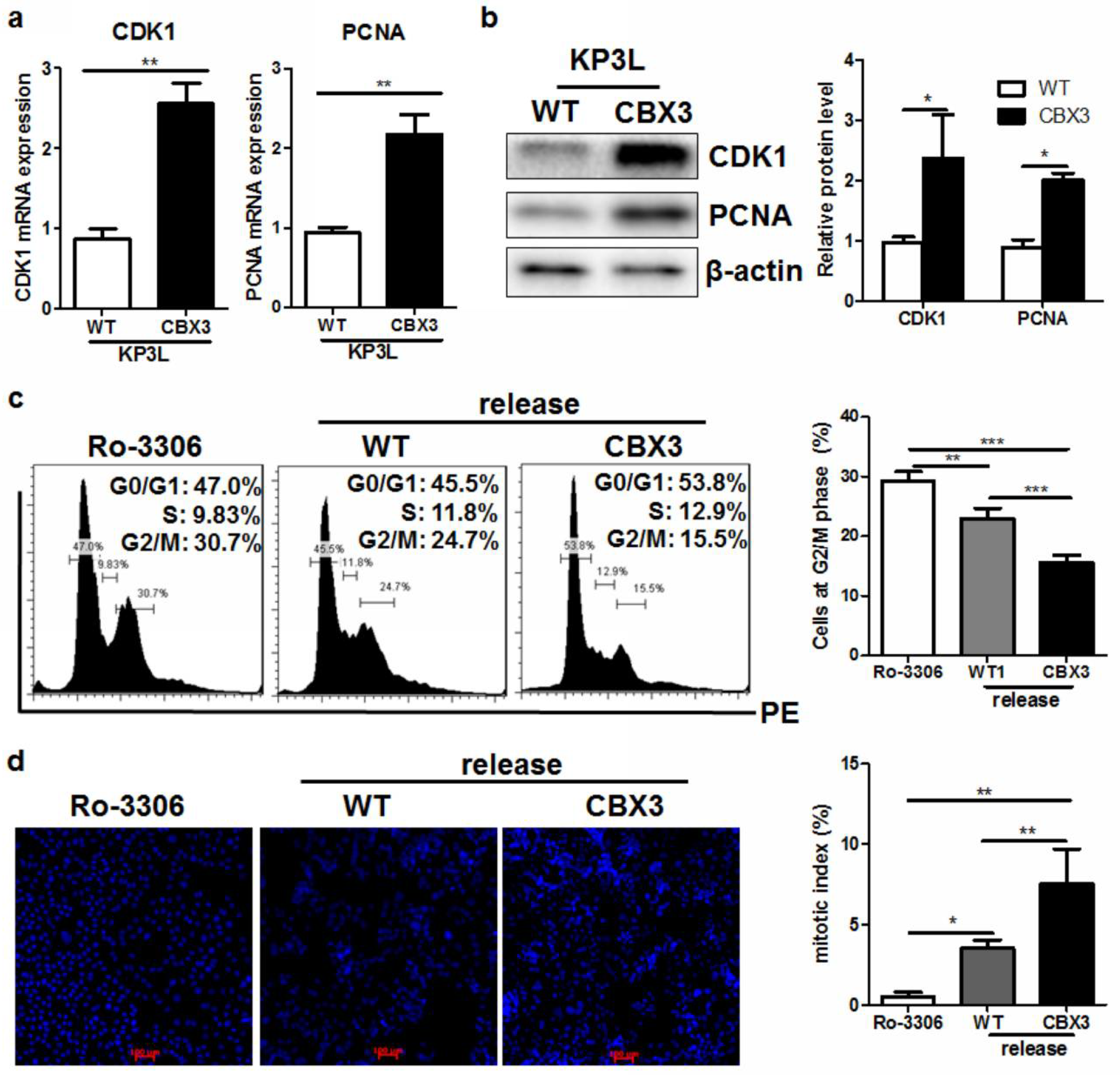 Ijms 19 01768 g005 Ijms 19 01768 g005