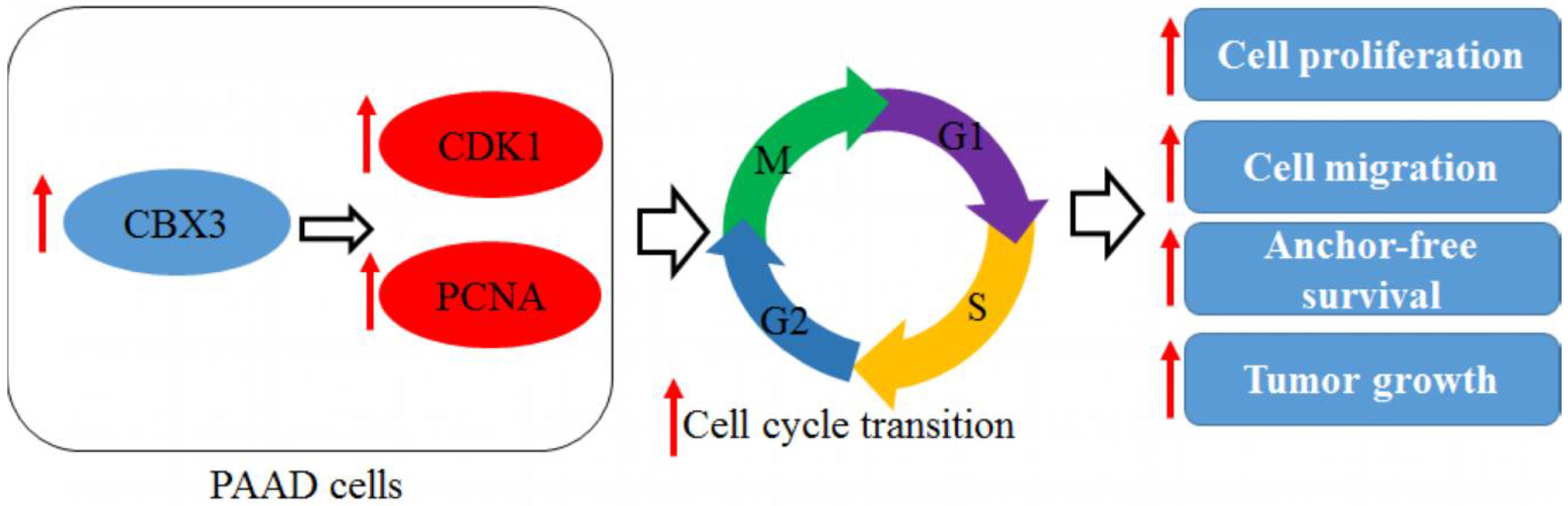 Ijms 19 01768 g007 Ijms 19 01768 g007