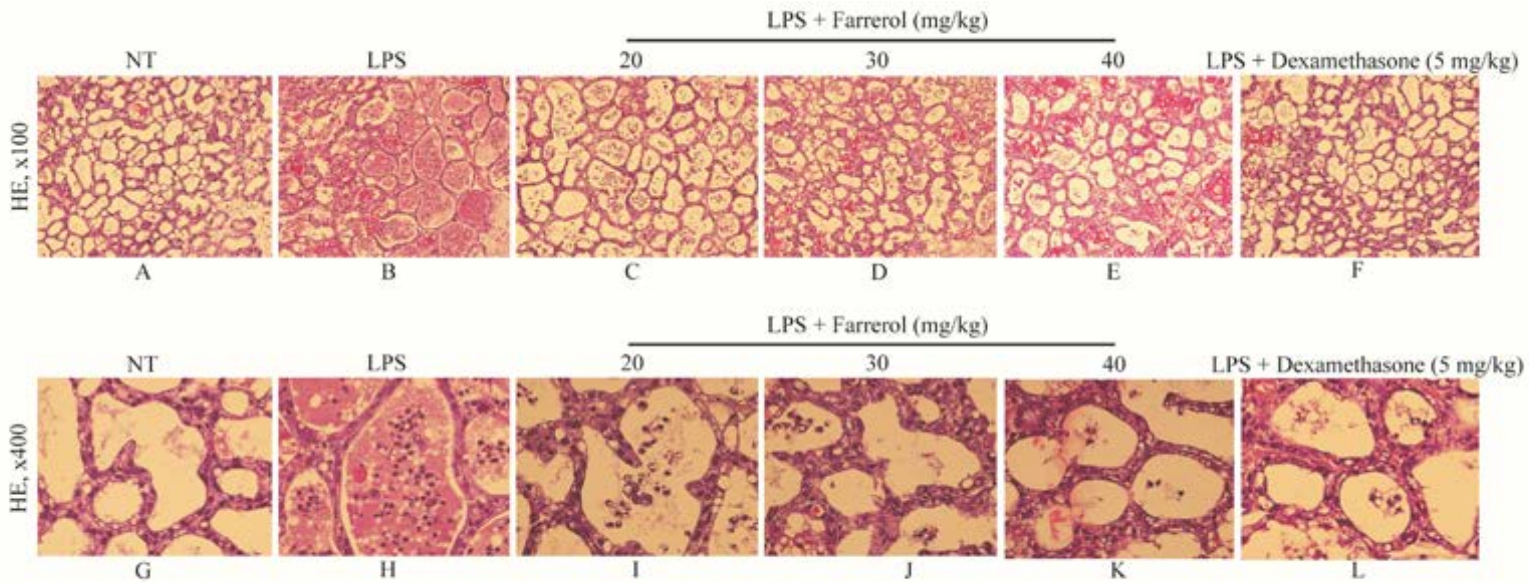 Ijms 19 01770 g002 550