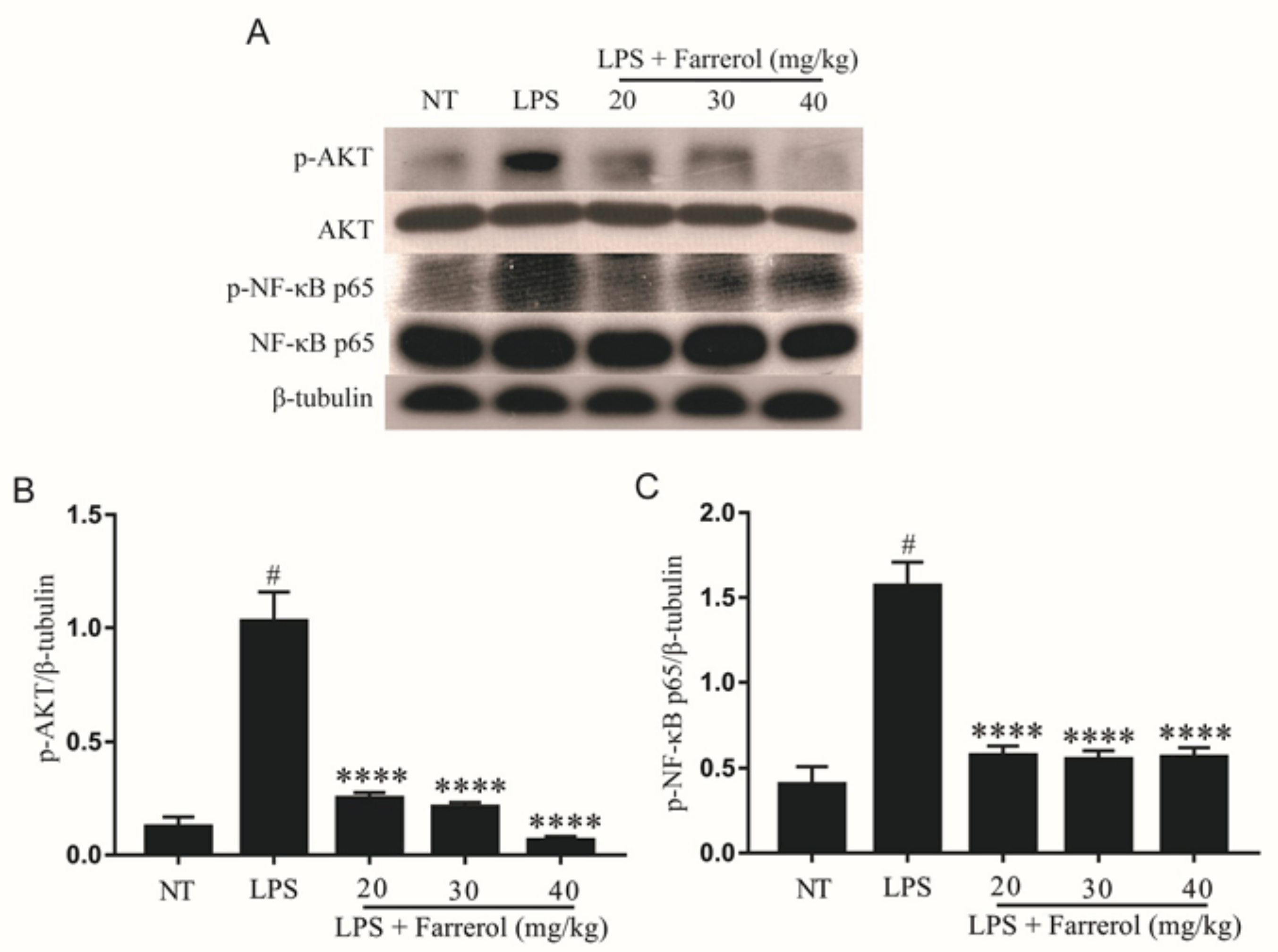 Ijms 19 01770 g005 550